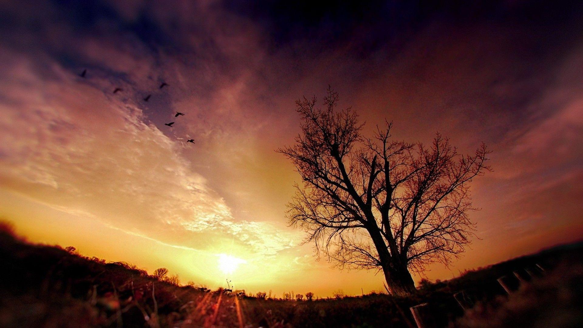1920x1080 Cool Photography Background