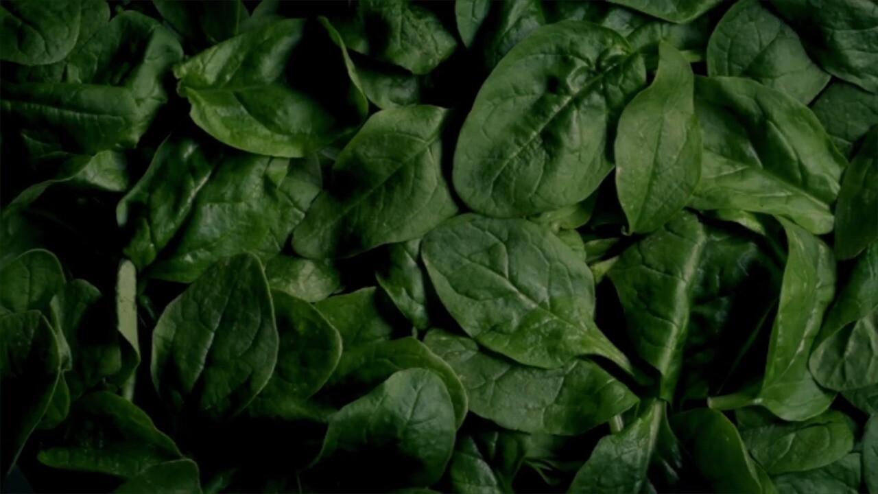 1280x720 Fresh Attitude Baby Spinach Recalled for Potential Salmonella Contamination