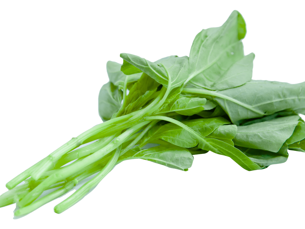 1024x768 Spinach PNG
