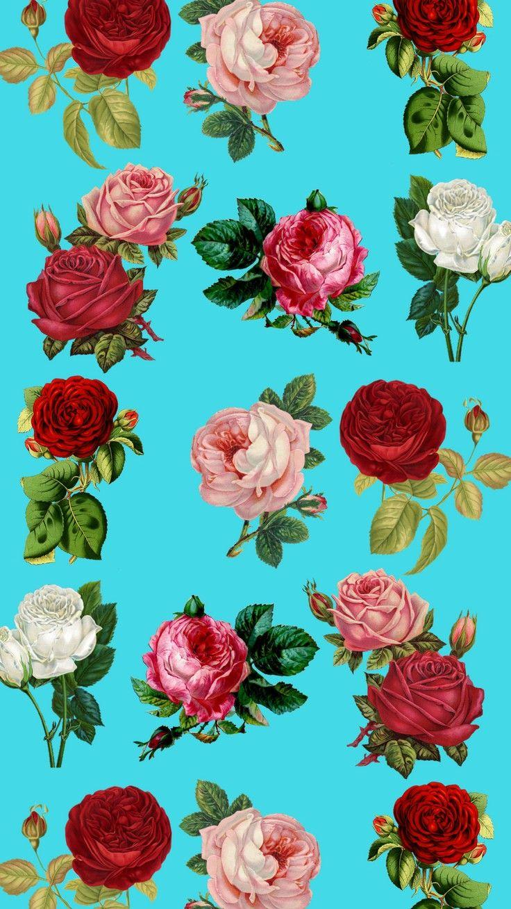 736x1308 Colorful Painting Roses Flowers Floral Flower HD Wallpaper