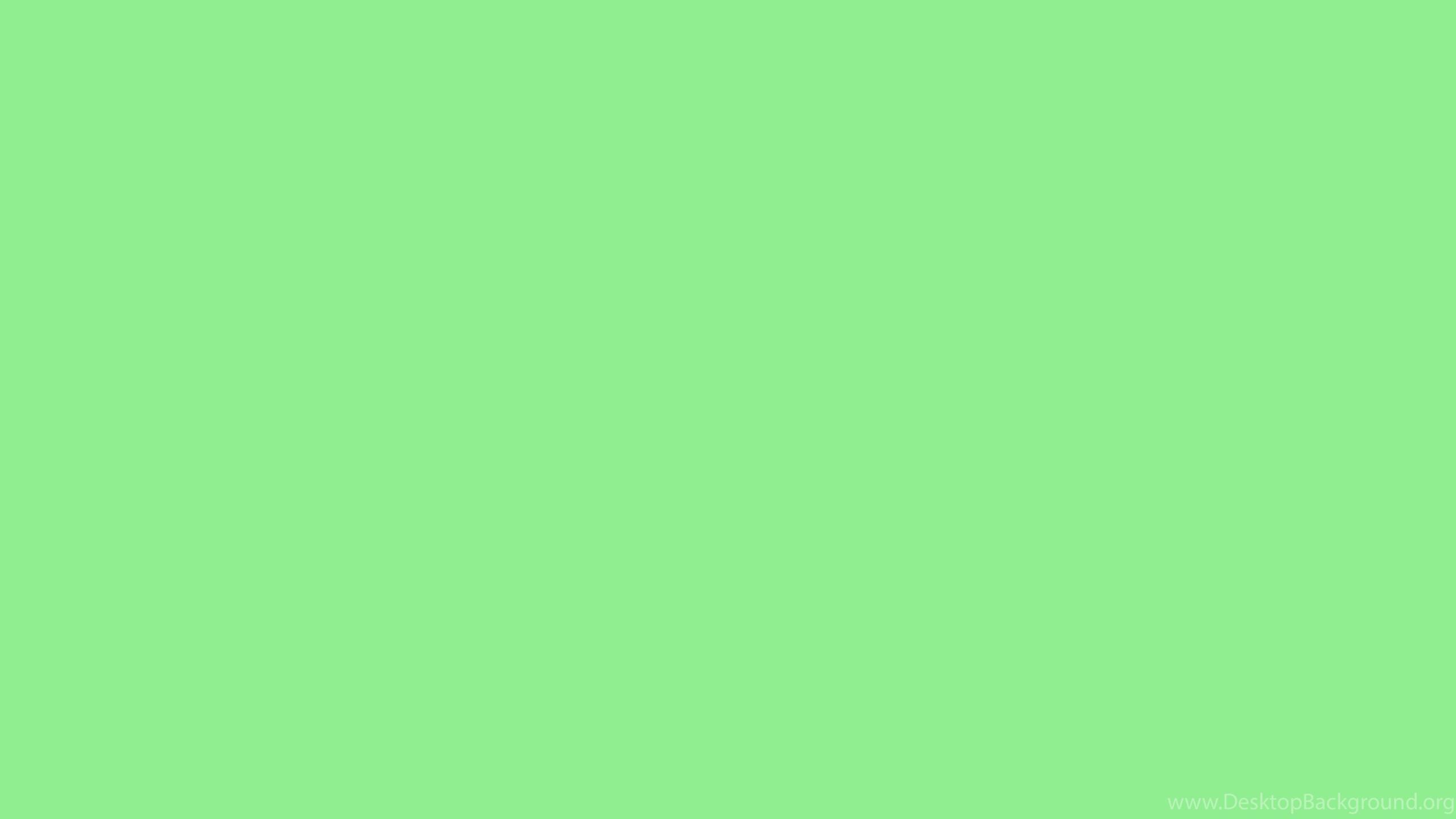 2560x1440 Light Green Wallpaper Desktop Background