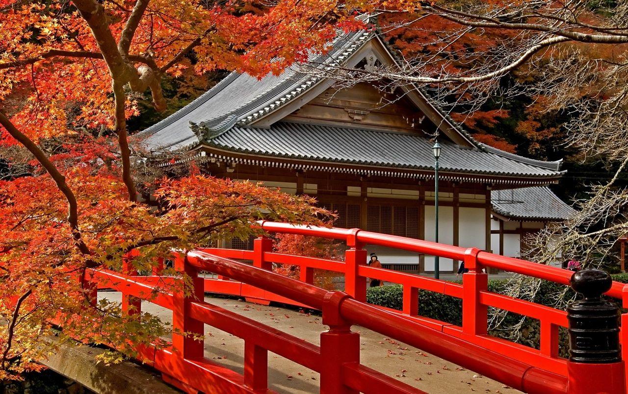 1280x804 Pagoda Japan Maple wallpaper. Pagoda Japan Maple