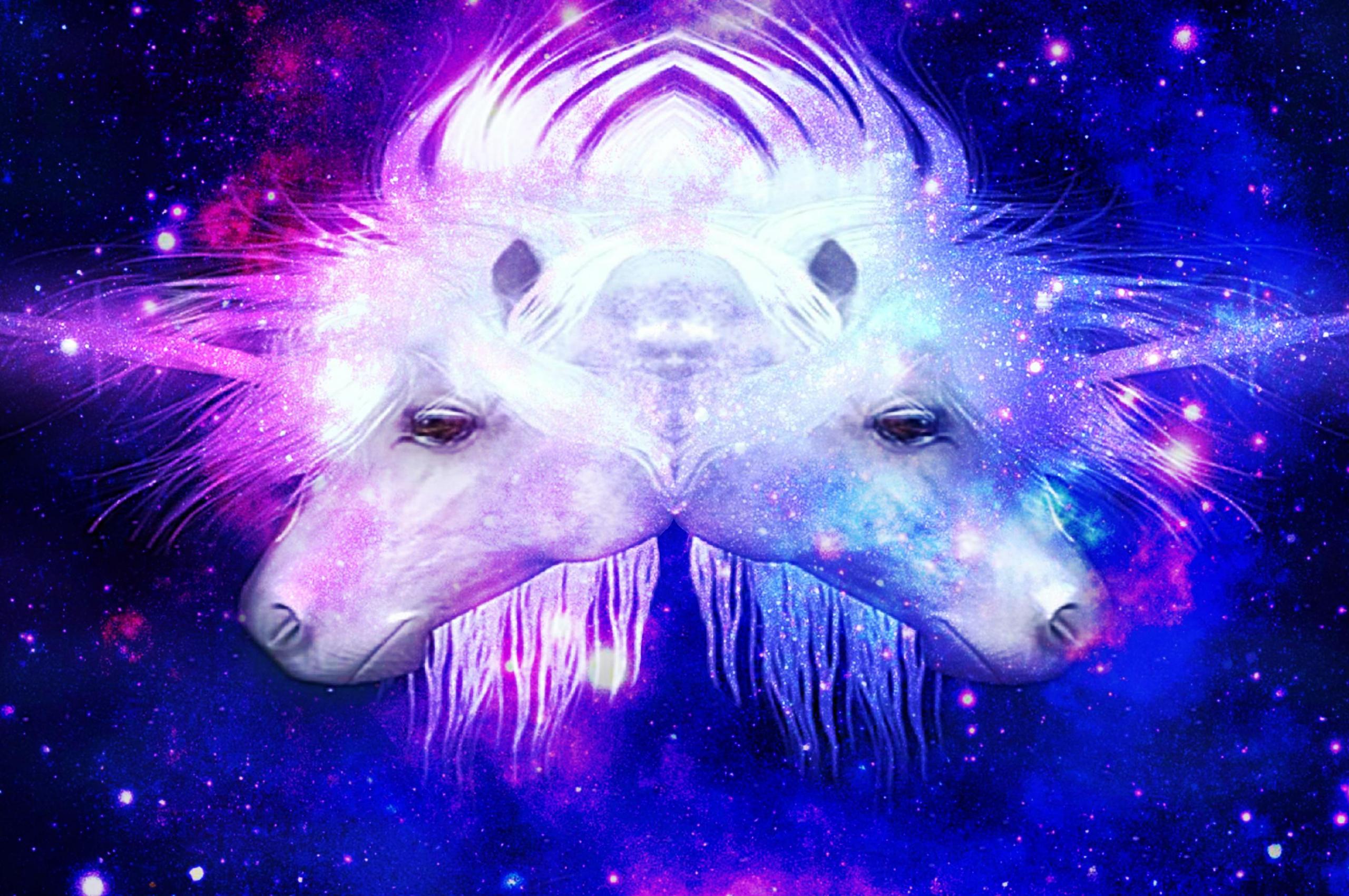 2560x1700 Free download Unicorn fantasy 119524 High Quality and Resolution Wallpaper [3049x1860] for your Desktop, Mobile & Tablet. Explore Fantasy Unicorn Wallpaper. Unicorn Wallpaper for My Desktop, Free Unicorn Wallpaper