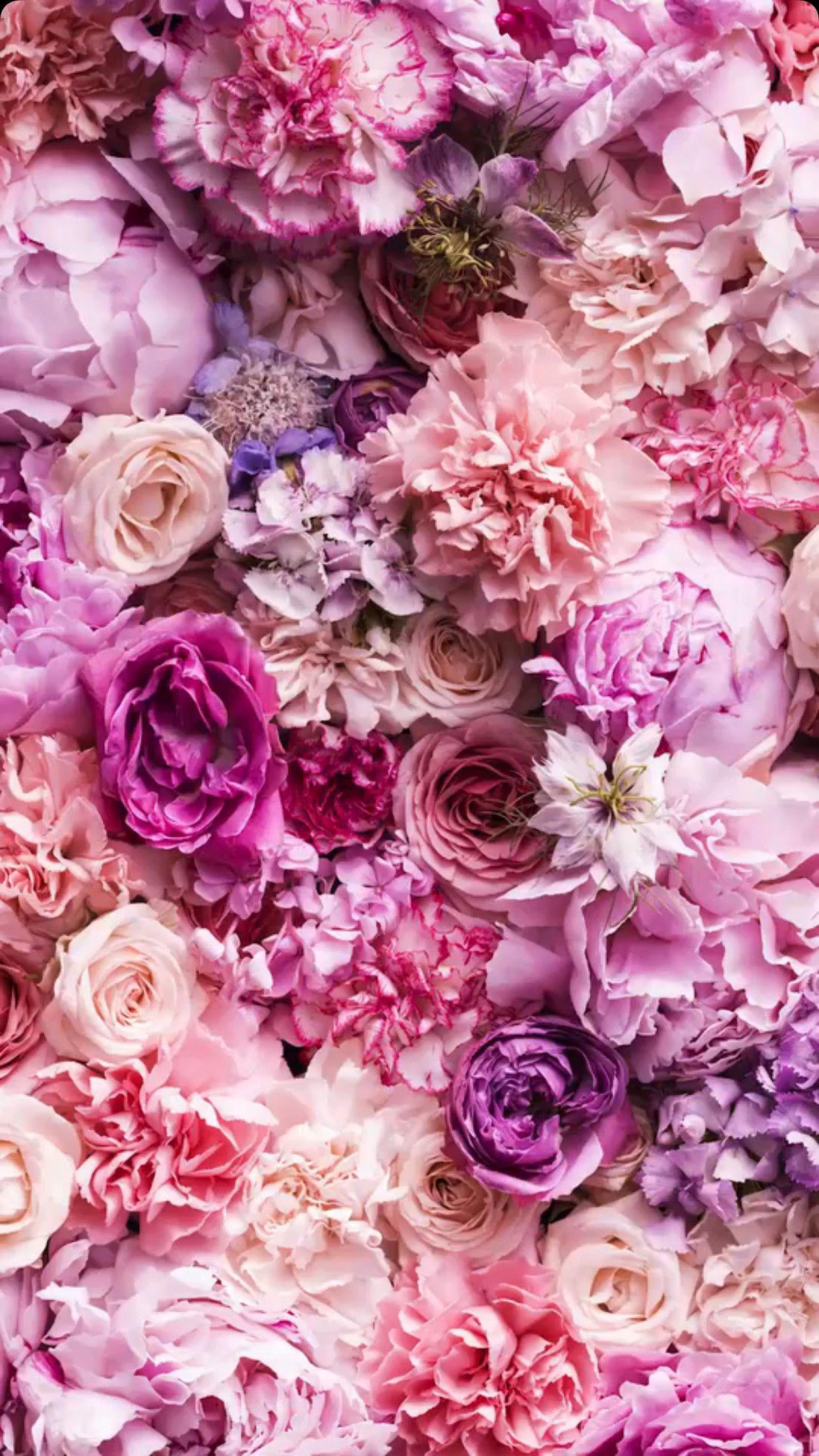 Pink Floral iPhone Wallpapers - Top Free Pink Floral iPhone Backgrounds