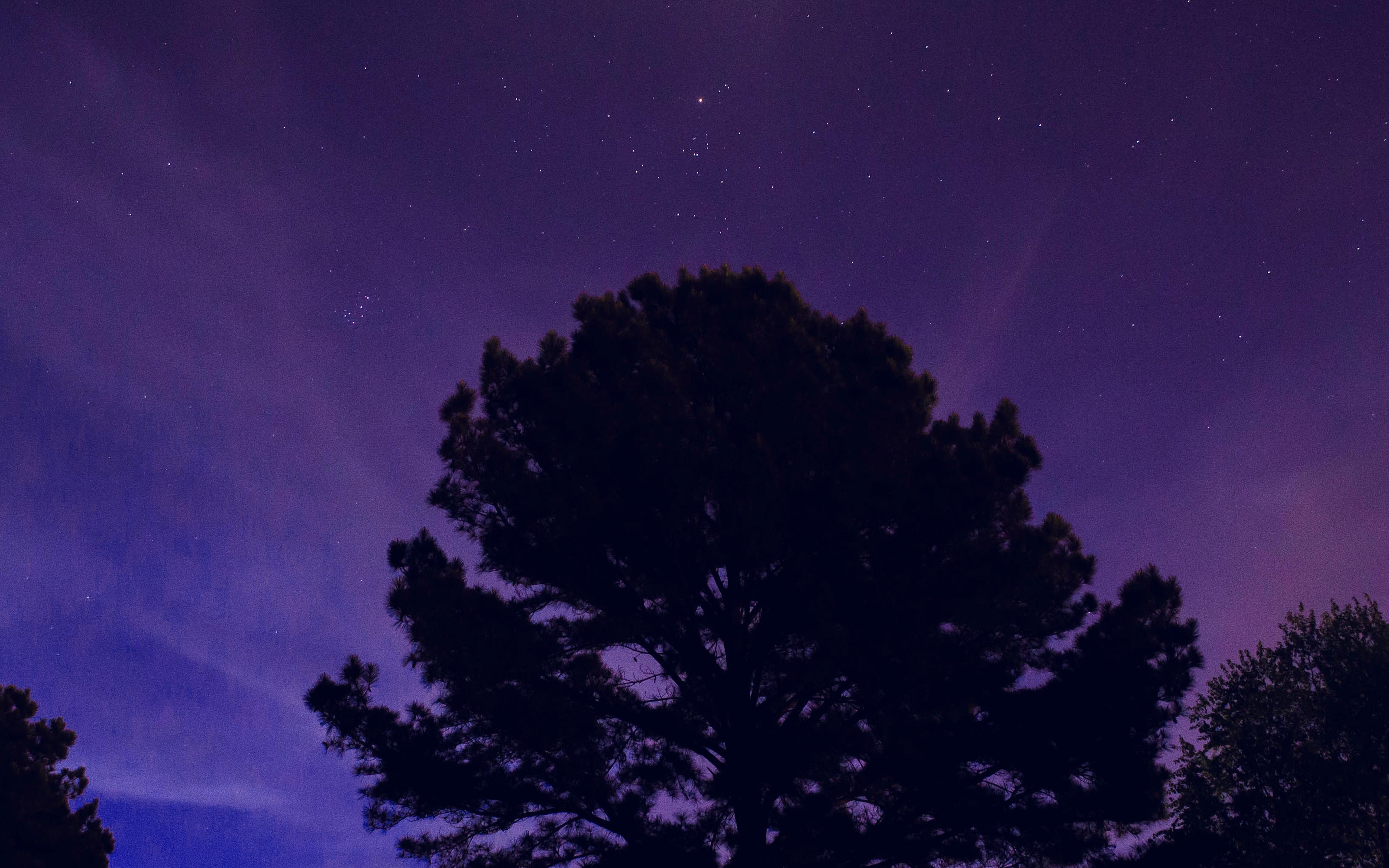 3840x2400 wallpaper for desktop, laptop. one star shine night dark blue sky wood purple