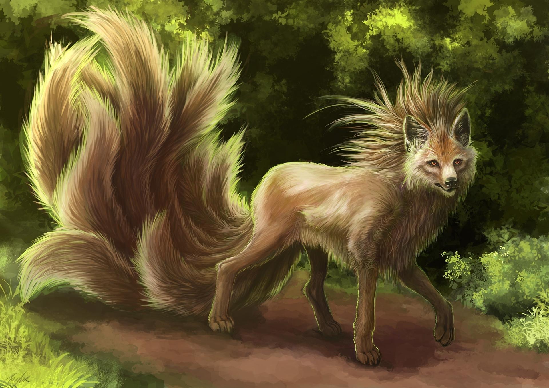 1920x1357 fantasy animal wallpaper, nature, wildlife, terrestrial animal, organism, tail