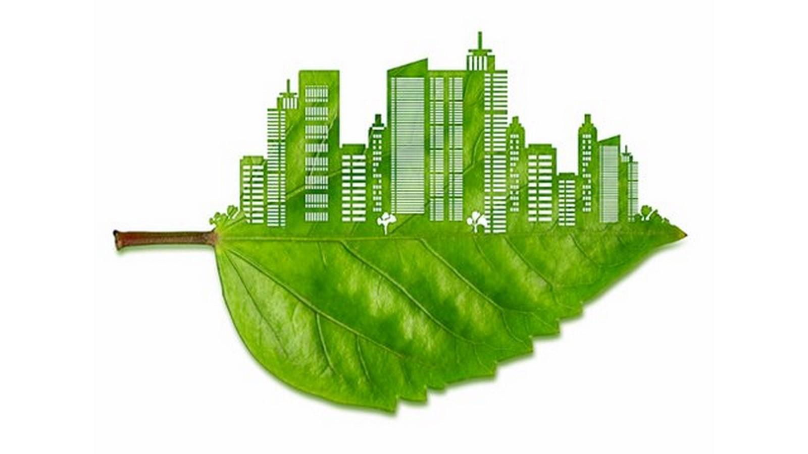 Green Buildings Wallpapers Top Free Green Buildings Backgrounds 