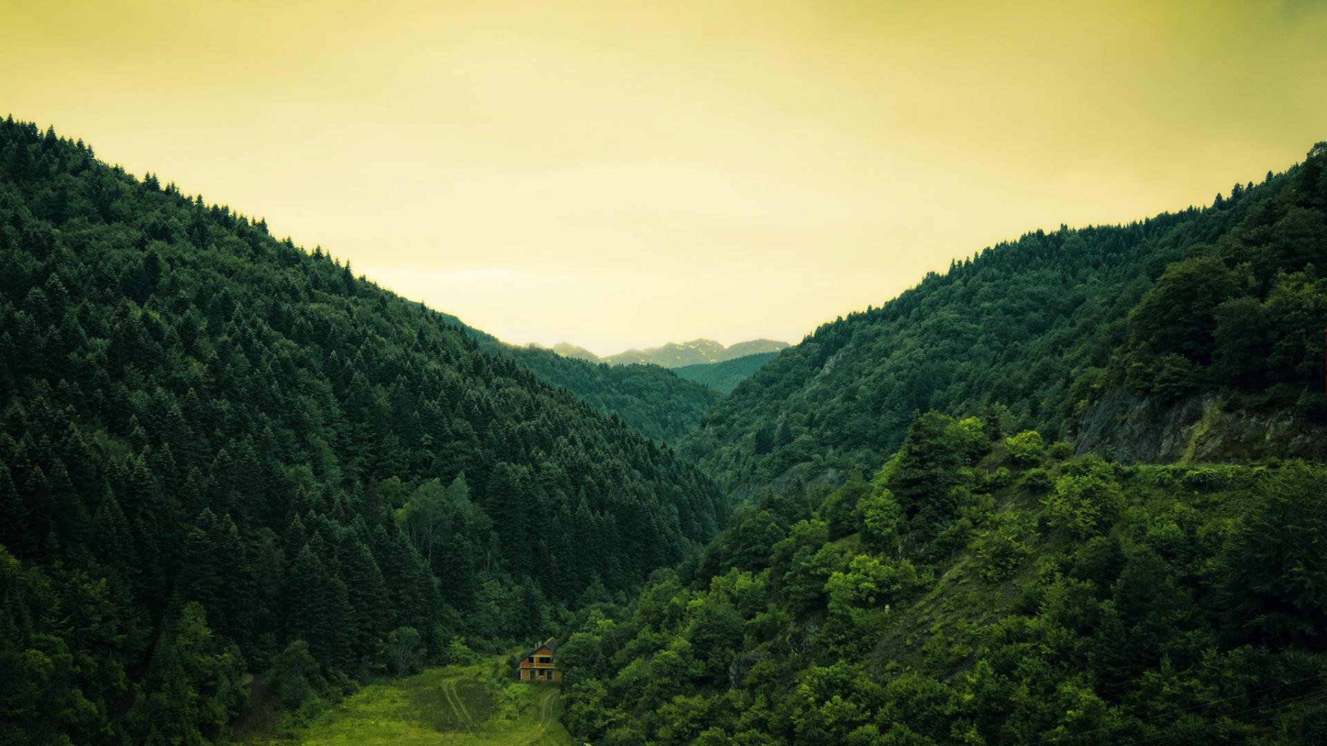 1920x1080 nature, Mountains, Trees, Forest, Valley, Green, Sky, Clouds, World, Architecture, Houses, Buildings, Cabin Wallpaper HD / Desktop and Mobile Background
