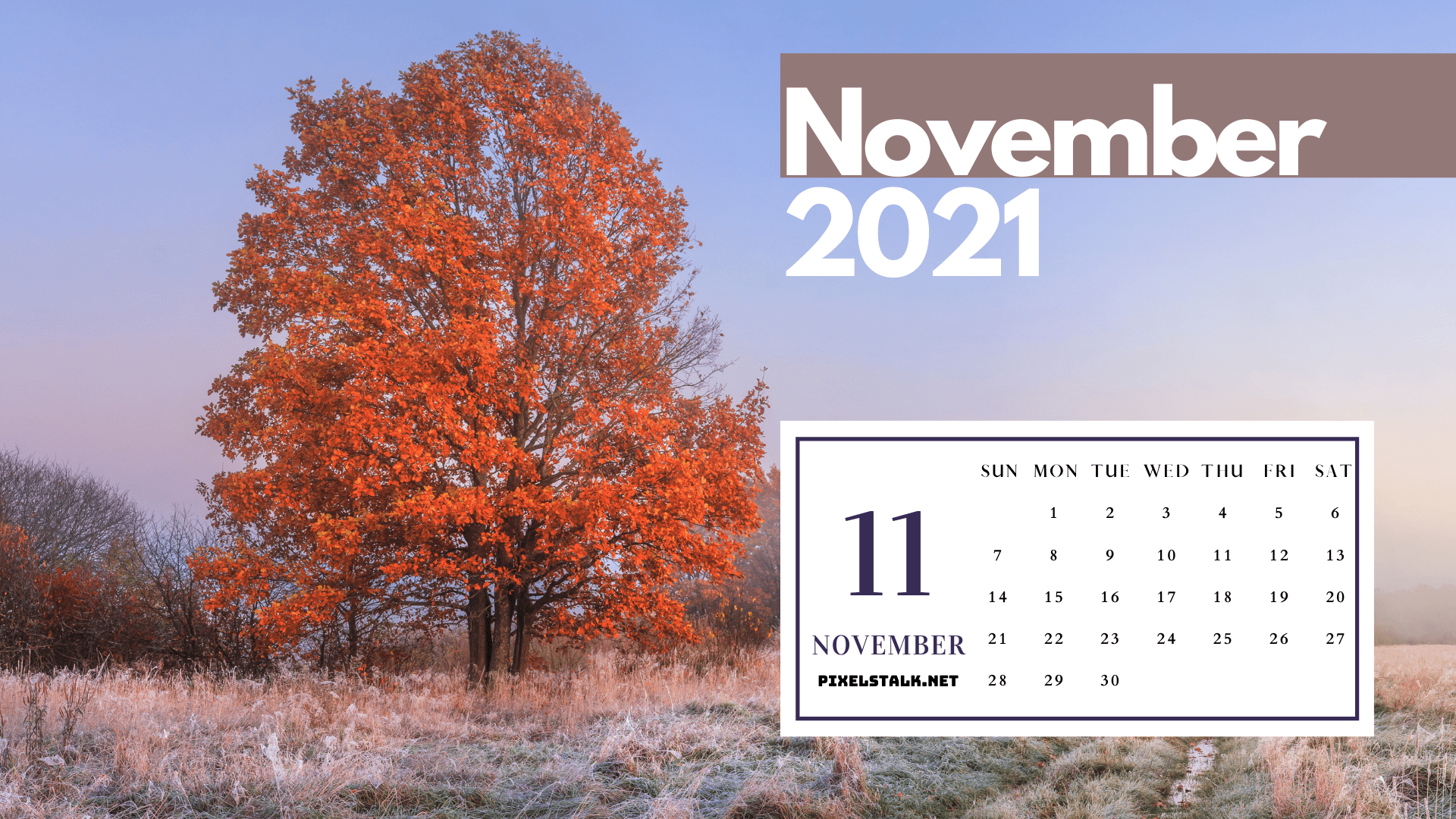 1920x1080 November 2021 Calendar Wallpaper