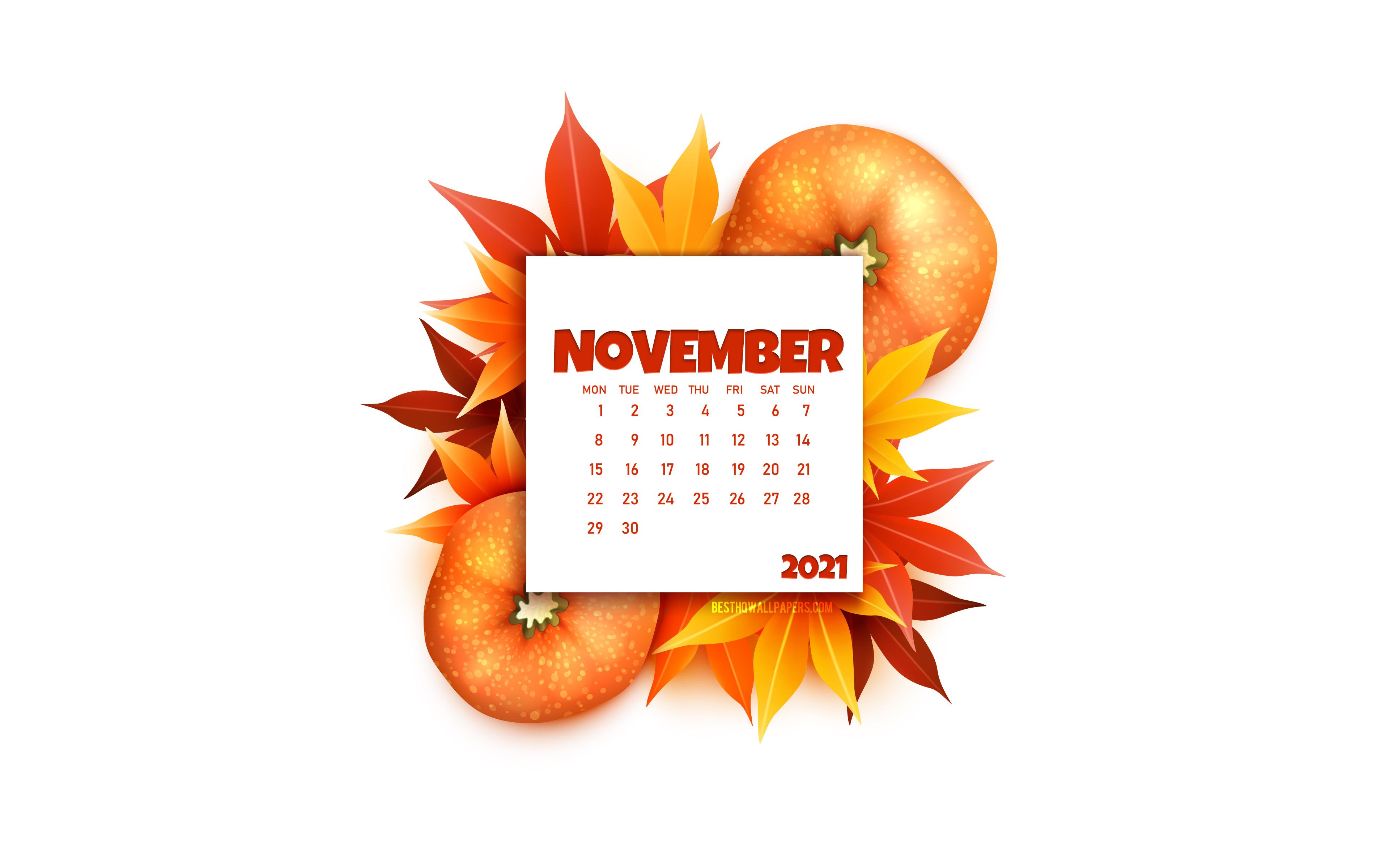 3840x2400 Download wallpaper 2021 November Calendar, 4k, White Background, Autumn Element, 3D pumpkin, November 2021 Calendar, 2021 concepts, November for desktop with resolution 3840x2400. High Quality HD picture wallpaper