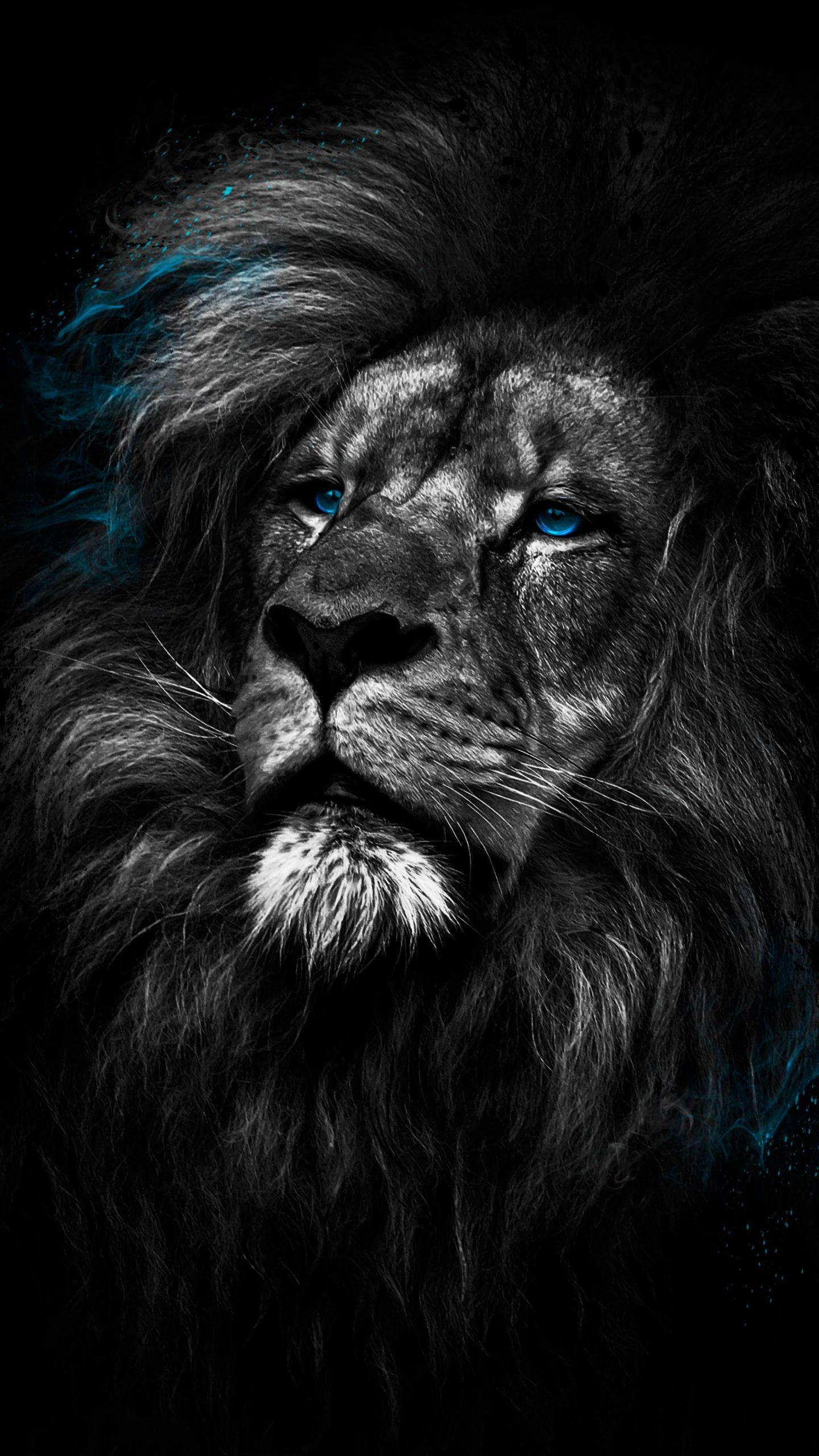 1440x2560 Lion Dark 4K Amoled Android Black Wallpaper