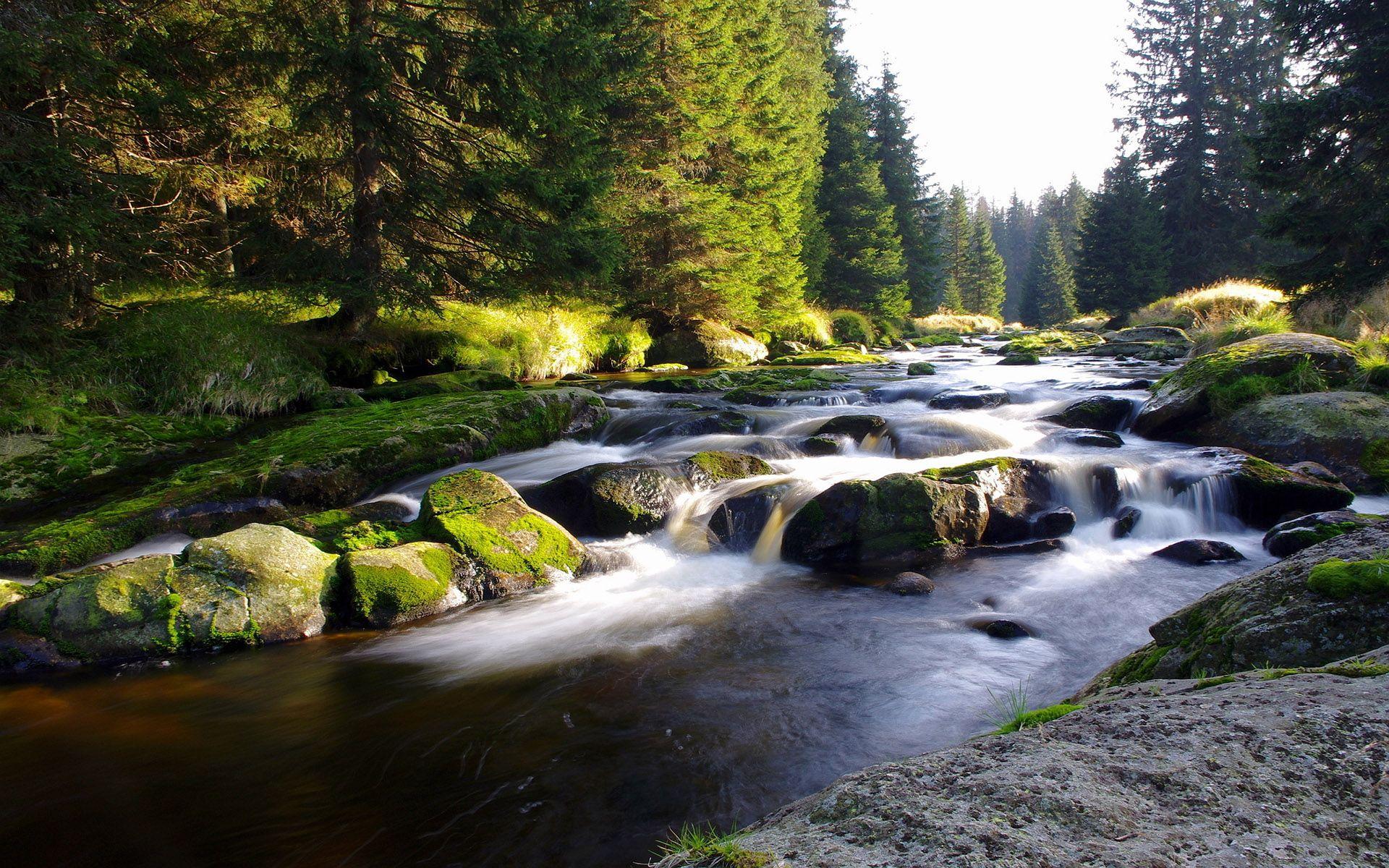 1920x1200 Stream Wallpaper. HD Windows Wallpaper