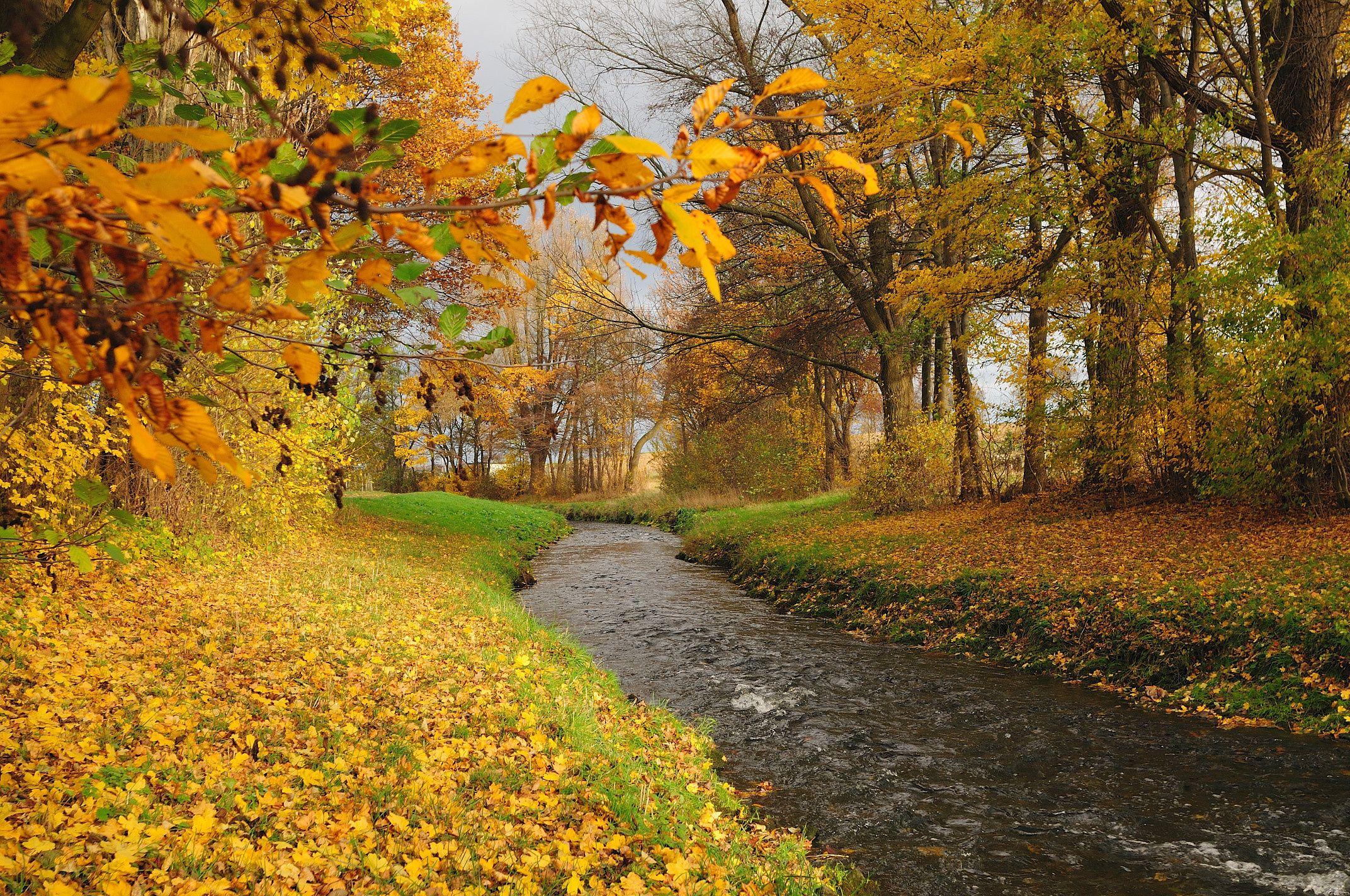 Autumn Mountain Stream Wallpapers - Top Free Autumn Mountain Stream ...