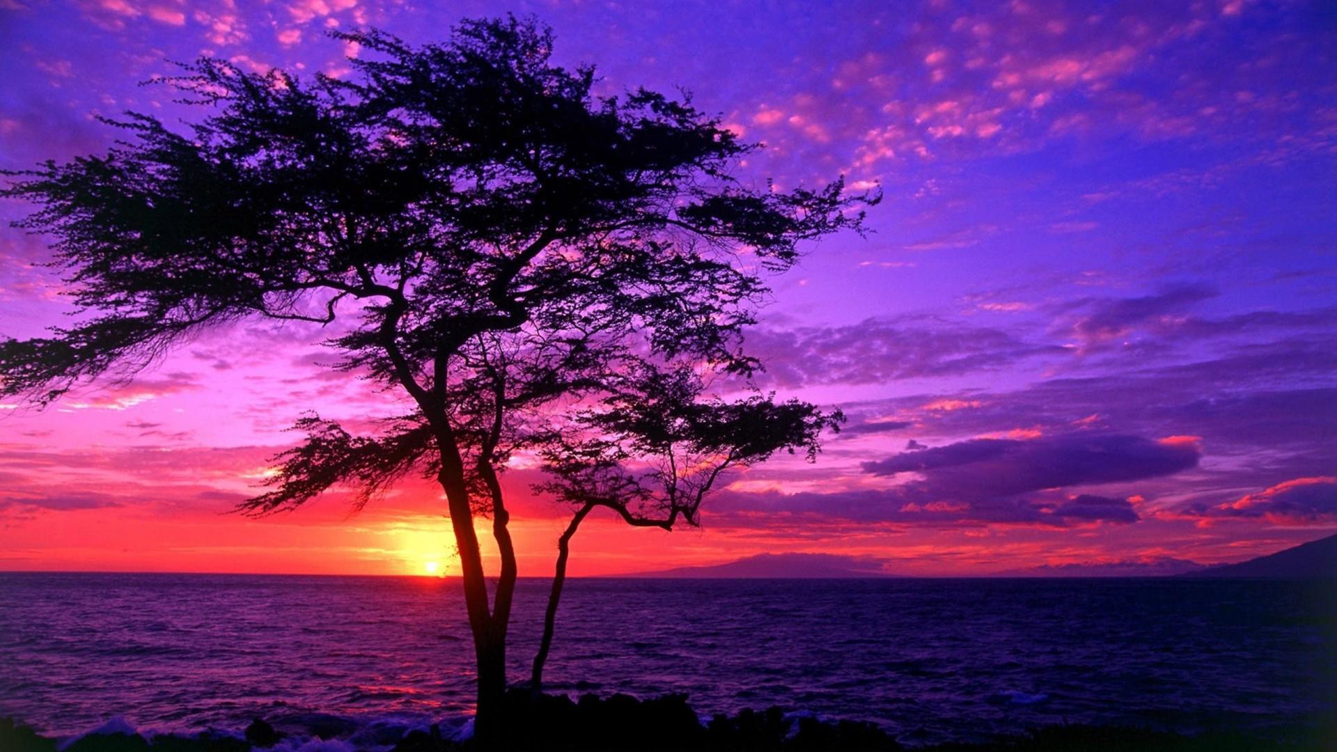1920x1080 Sea Sunset Wallpaper