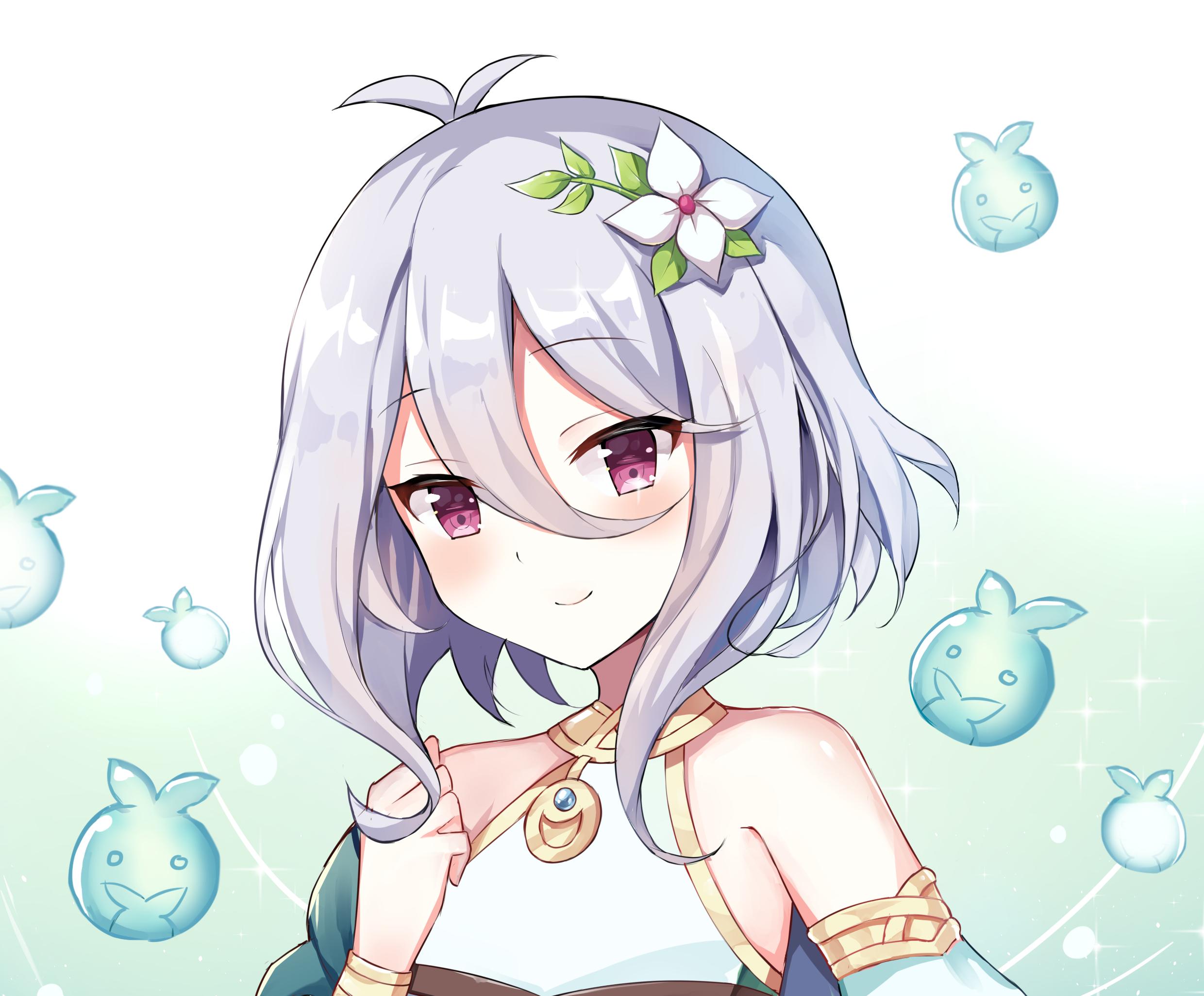 2480x2051 Princess Connect! Re:Dive HD Wallpaper
