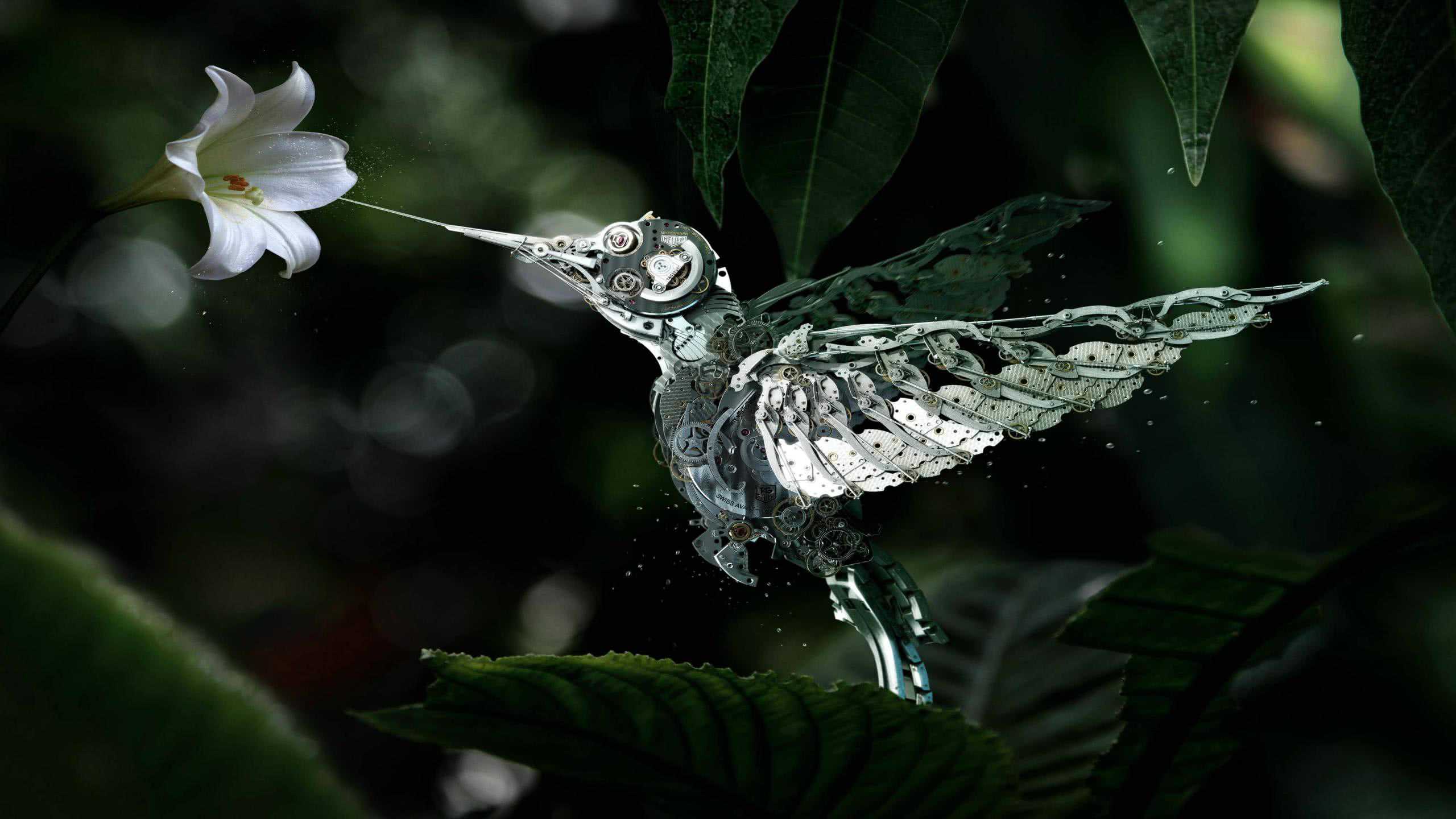 2560x1440 Mechanical Hummingbird WQHD 1440p Wallpaper