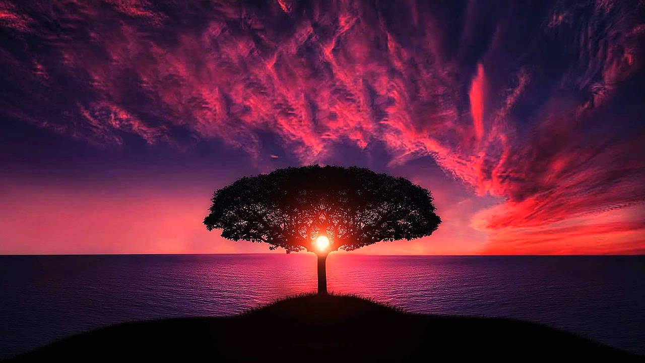 1280x720 Open Root Chakra. Meditation Music & Vibrations 256Hz