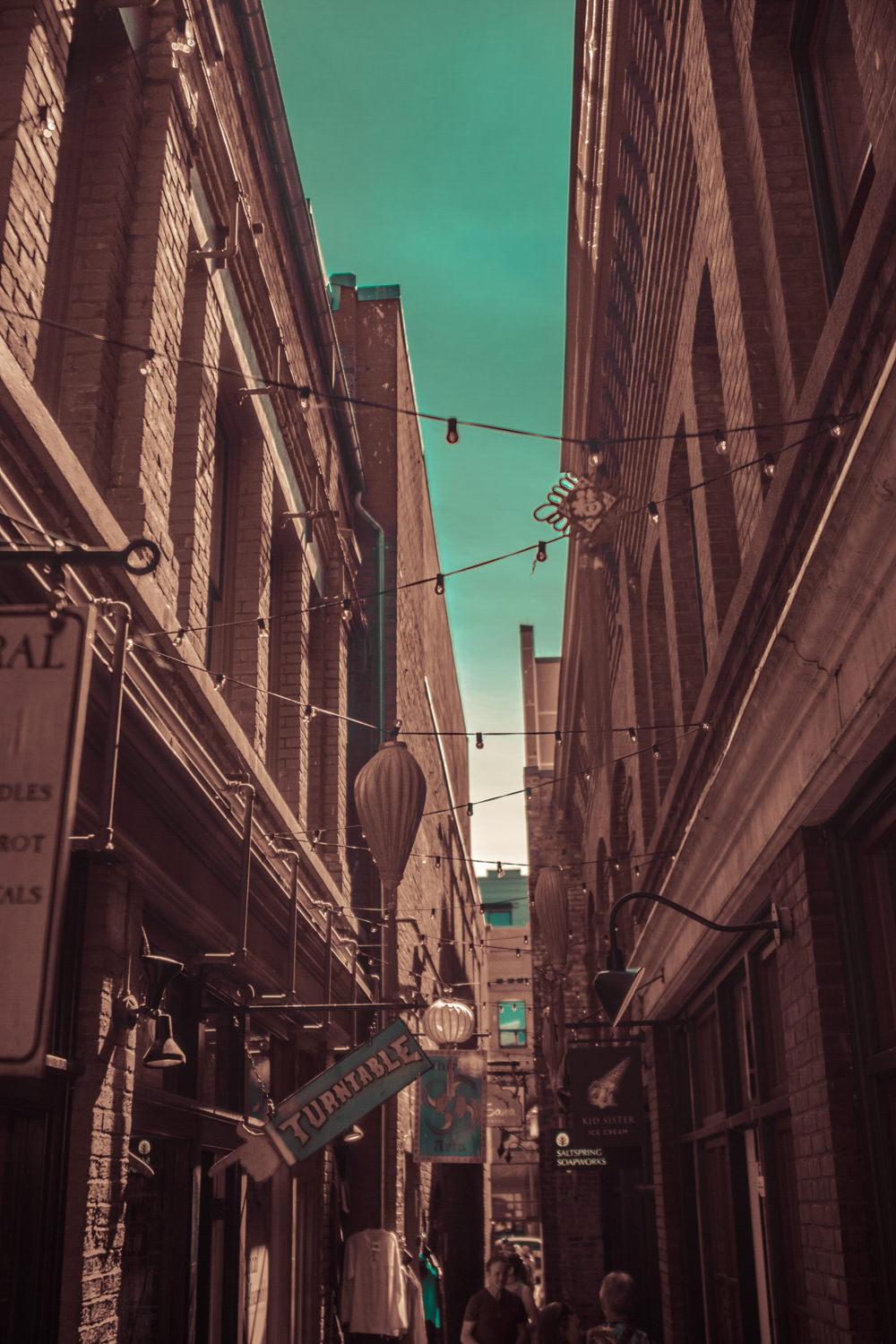 1000x1500 Photography post! people use their own photo as phone wallpaper? I do !