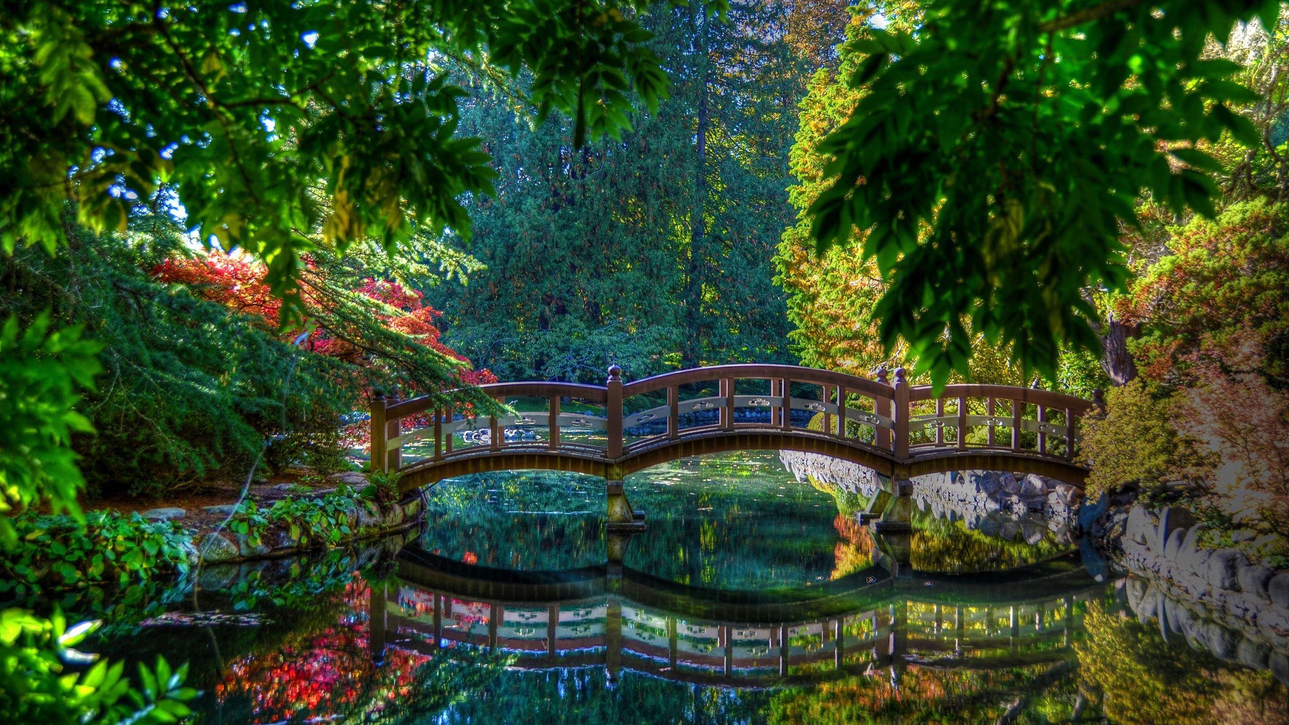2560x1440 At Peace MacBook Air Wallpaper Download