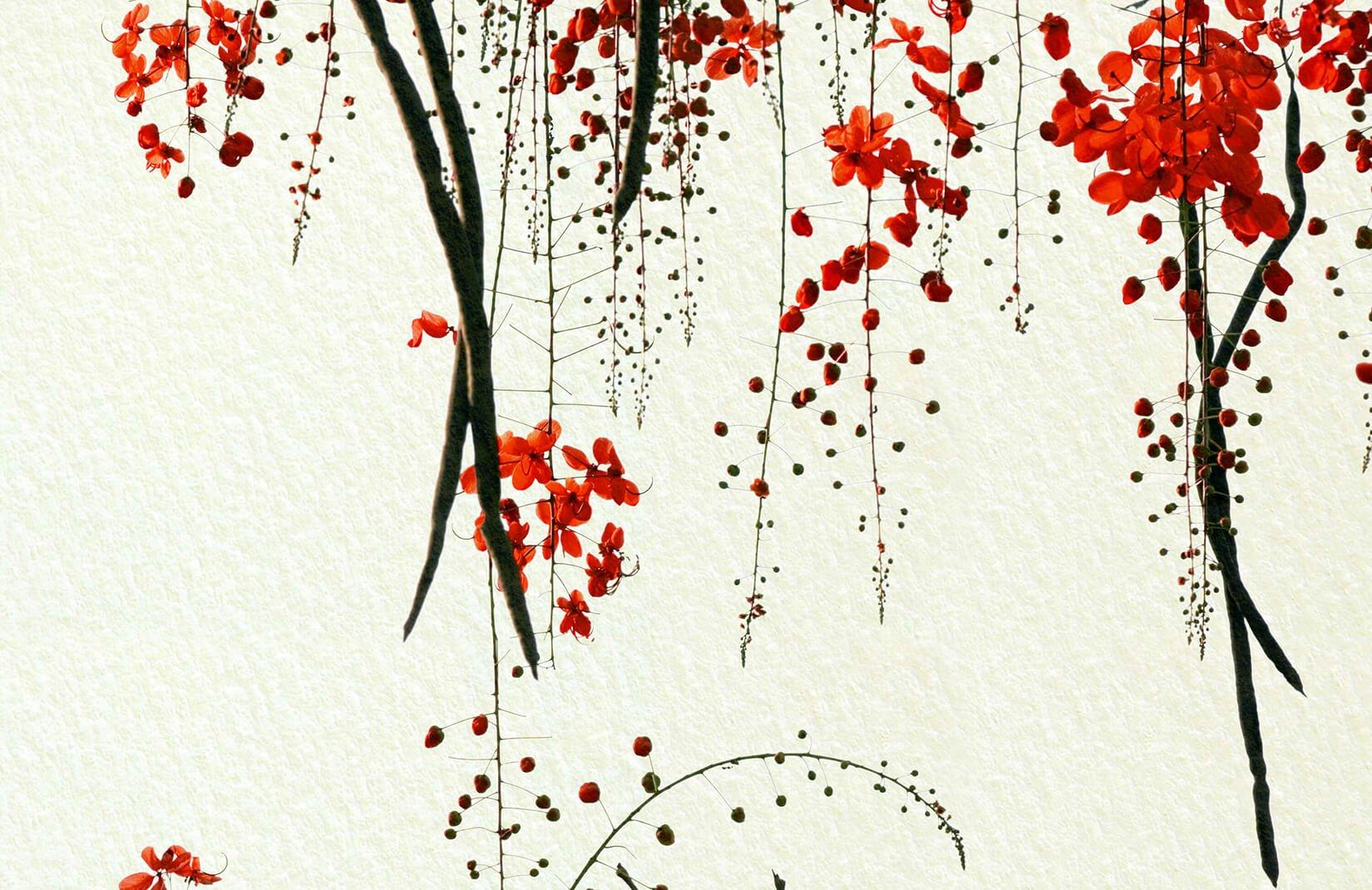 Red Cherry Blossom Wallpapers - Top Free Red Cherry Blossom Backgrounds