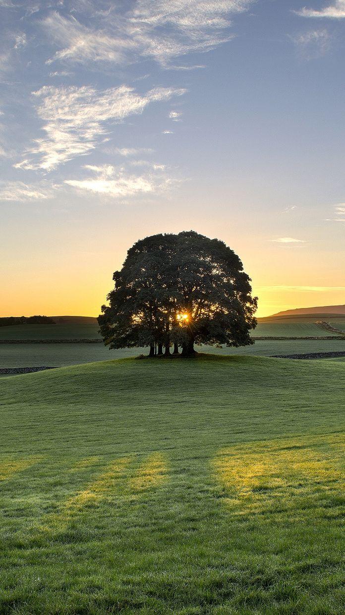696x1238 Bell Busk England Meadow Fields Iphone Wallpaper