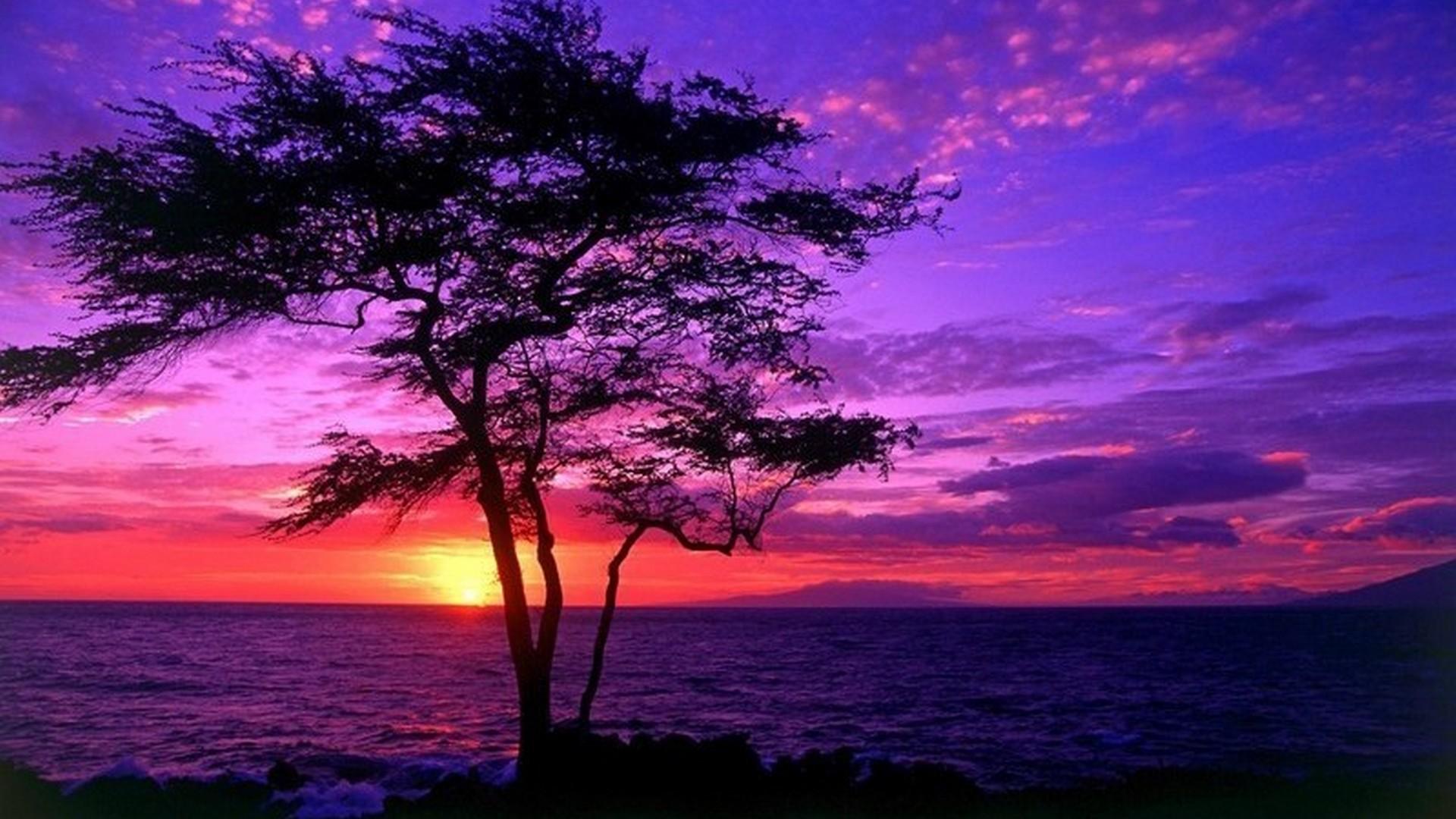 1920x1080 Sunset HD Wallpaper Live Wallpaper HD