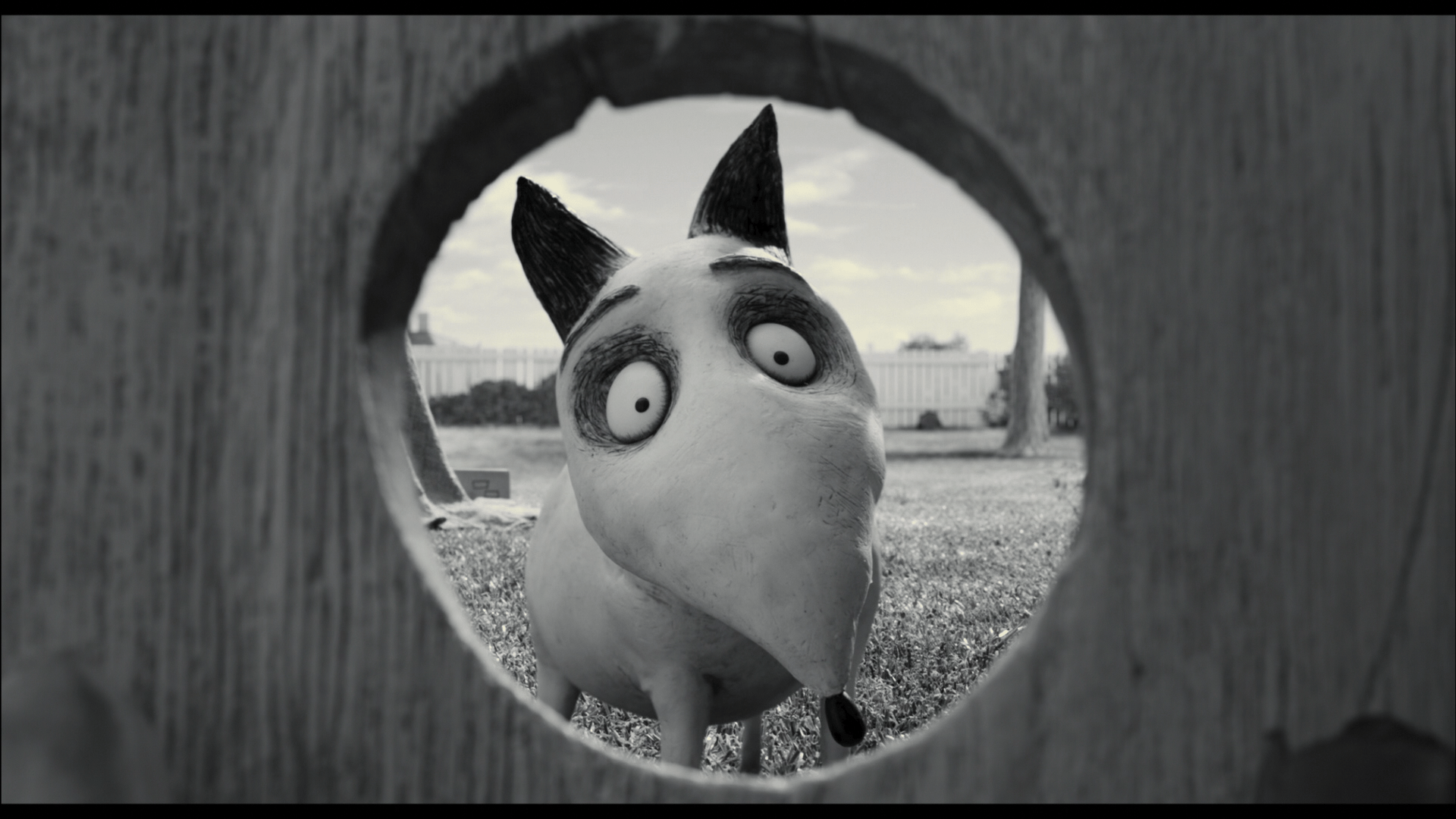 1920x1080 Frankenweenie Dog Sparky wallpaperx1080
