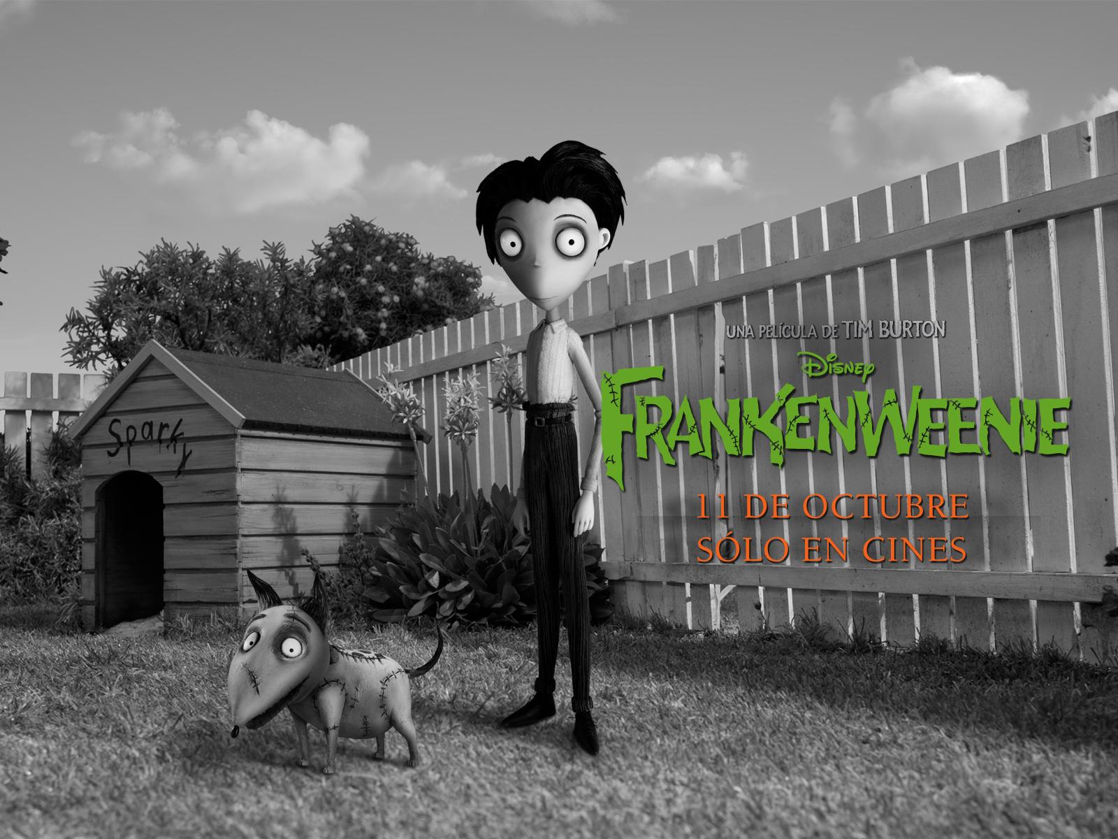 1600x1200 Frankenweenie