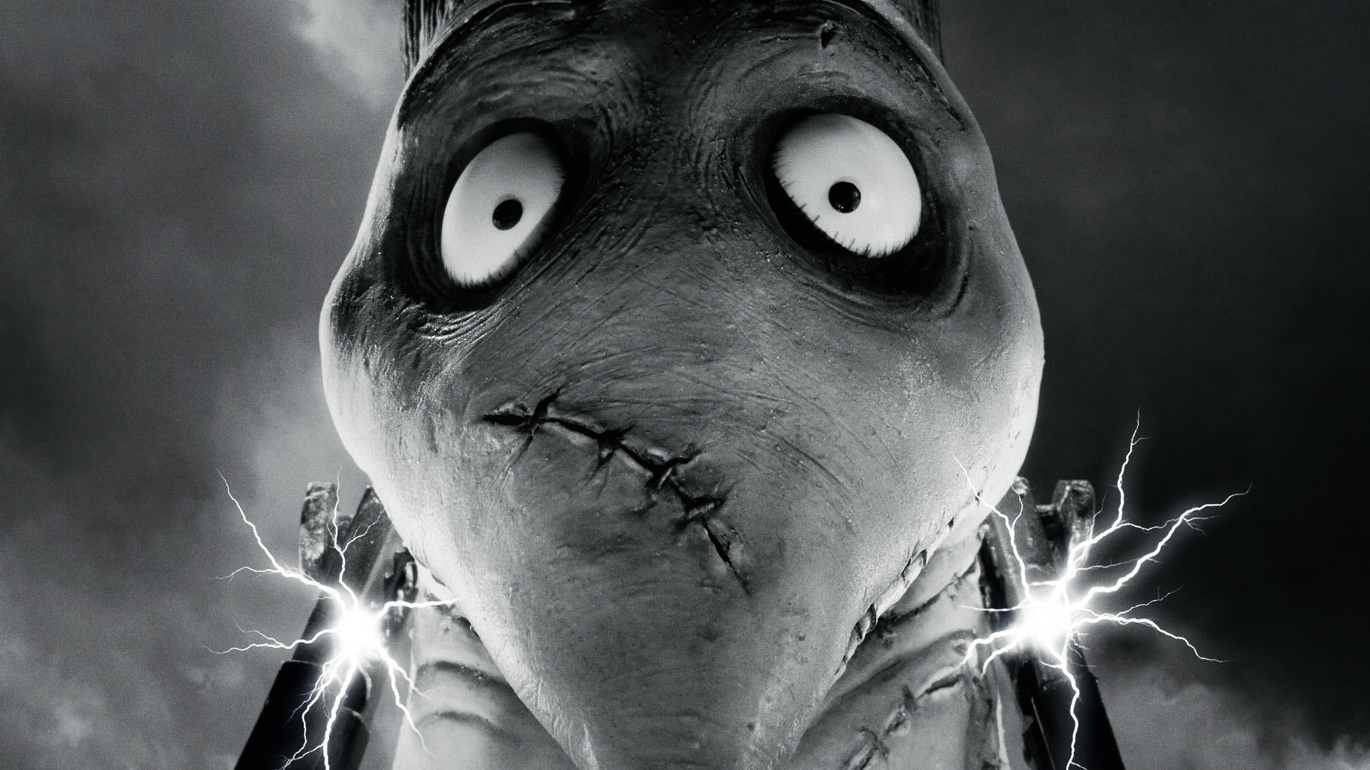 1920x1080 Movie Frankenweenie Wallpaper:1920x1080