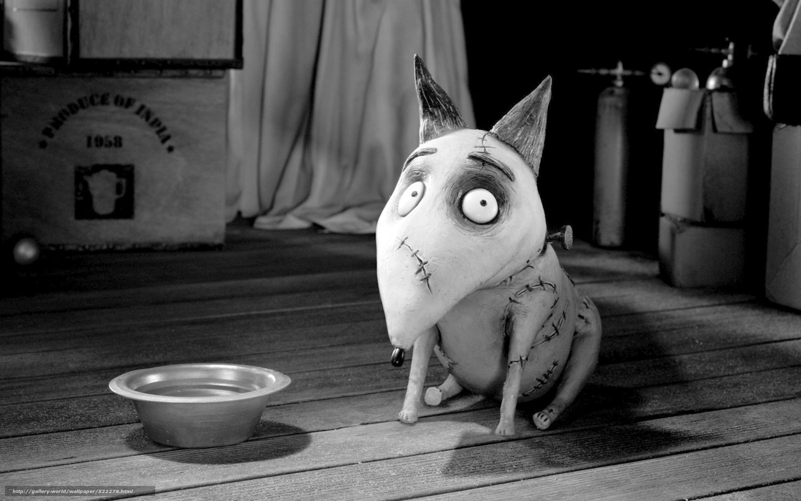 1600x1000 Download wallpaper Cartoon, dog, bowl, Frankenweenie free desktop wallpaper in the resolution 2560x1600