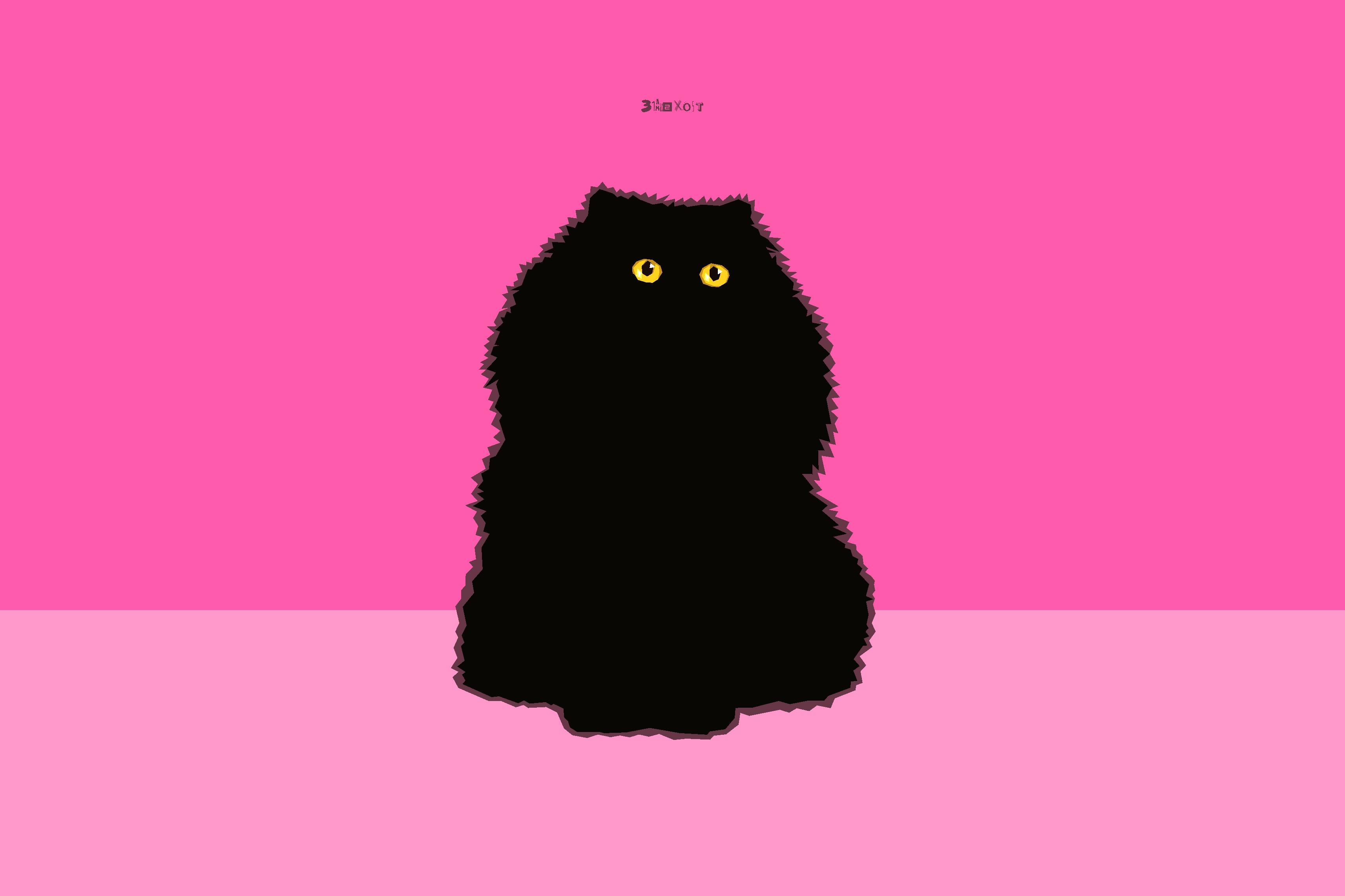 3427x2284 Persian Cat HD Wallpaper and Background