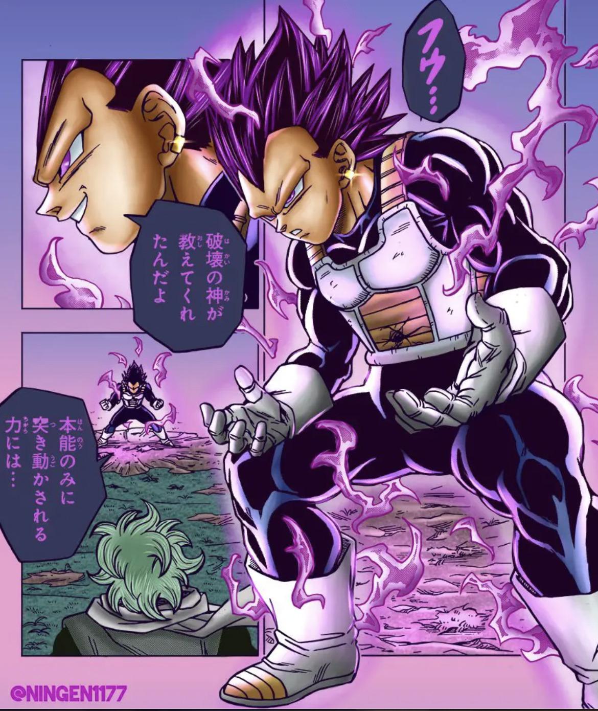 1170x1390 Dbs God of destruction