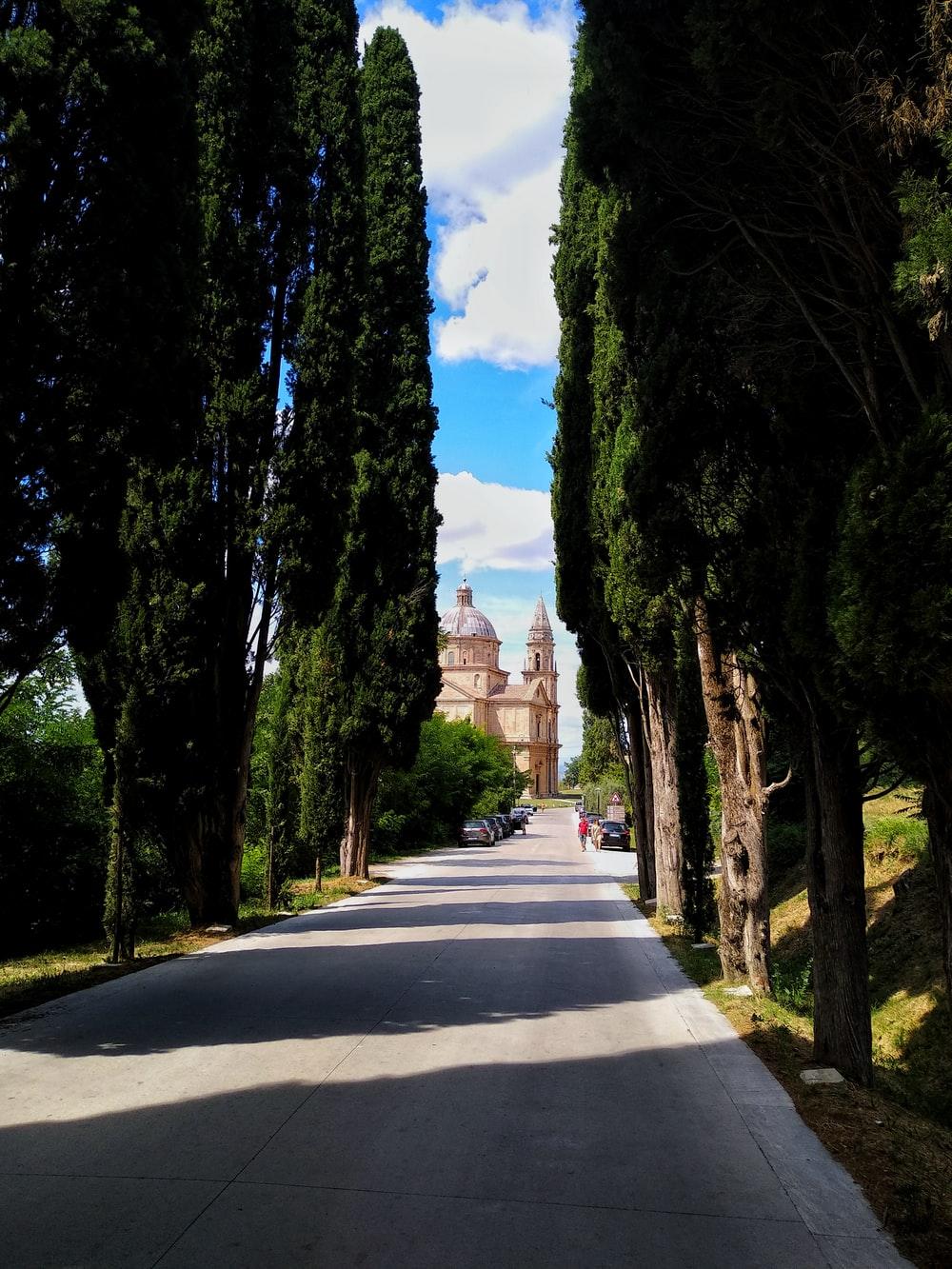 1000x1333 Montepulciano Picture. Download Free Image