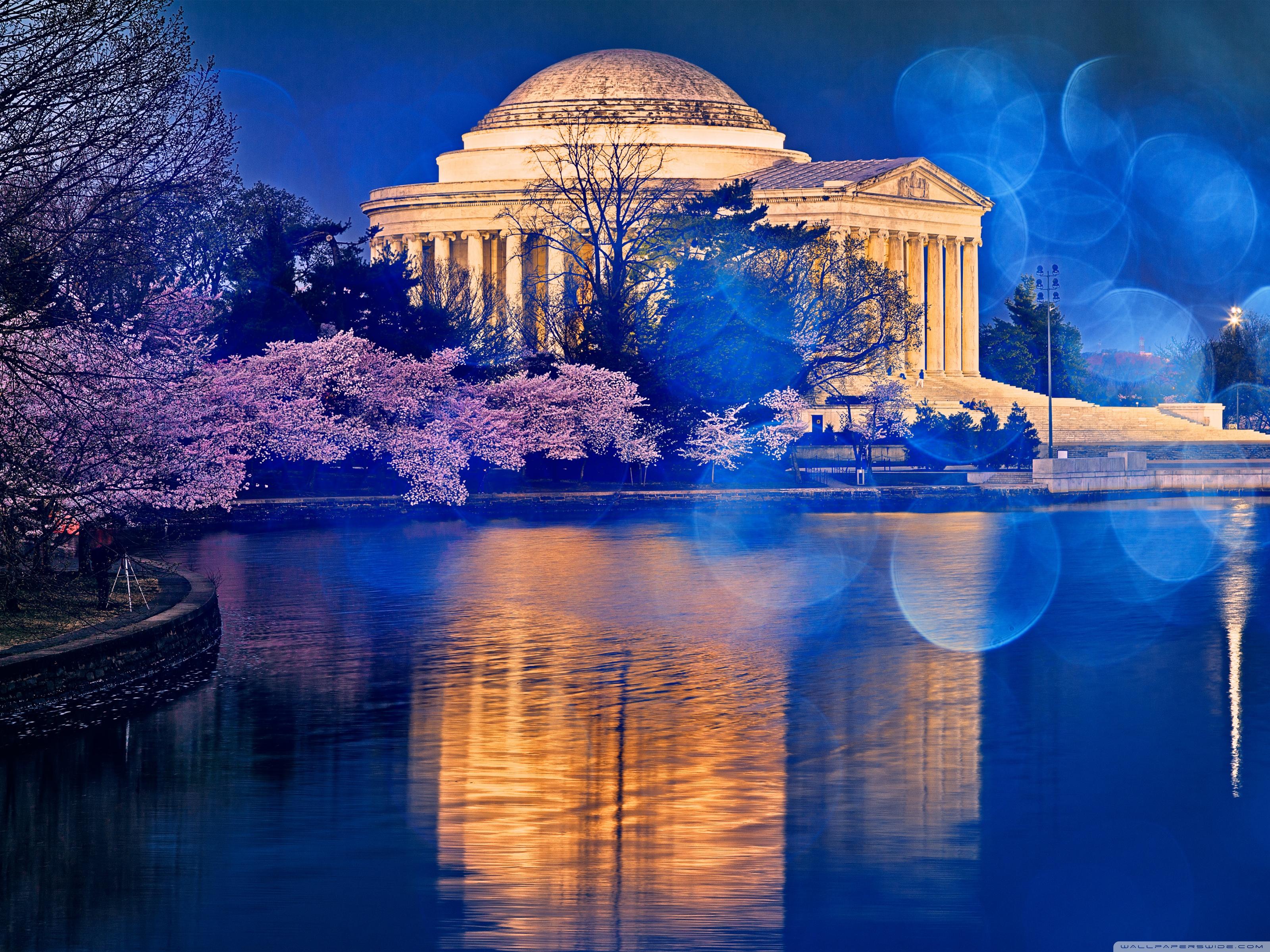 3200x2400 Thomas Jefferson Memorial Cherry Blossom Ultra HD Desktop Background Wallpaper for 4K UHD TV : Widescreen & UltraWide Desktop & Laptop : Multi Display, Dual Monitor : Tablet