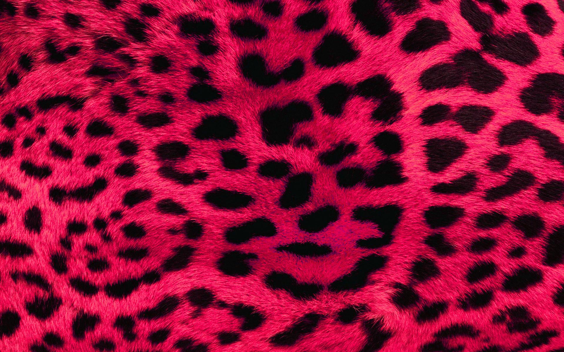 1920x1200 1920x Pink Leopard Print Wallpaper 20506 Data Leopard Print HD