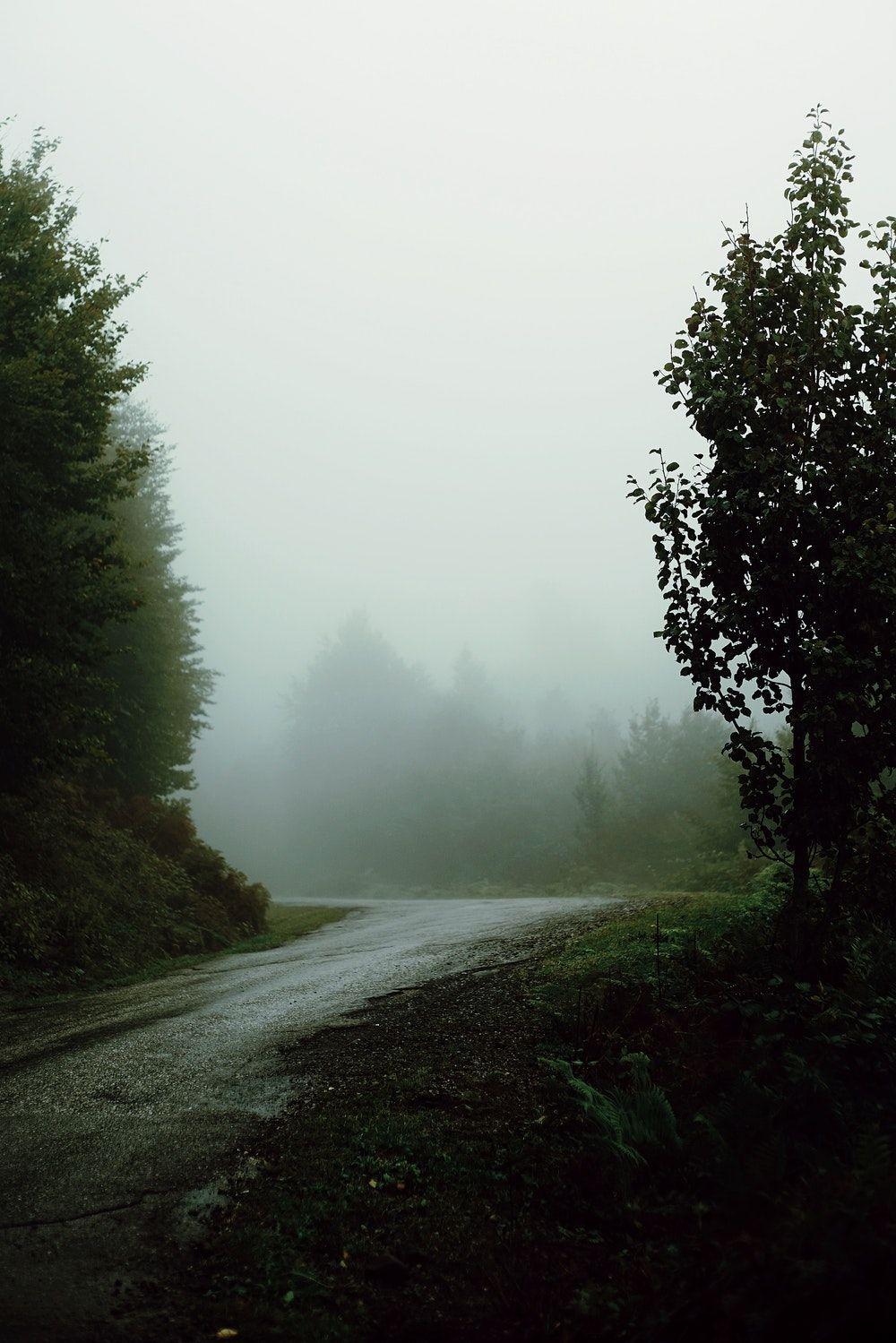 1000x1499 Landscape Picture. Download Free Image