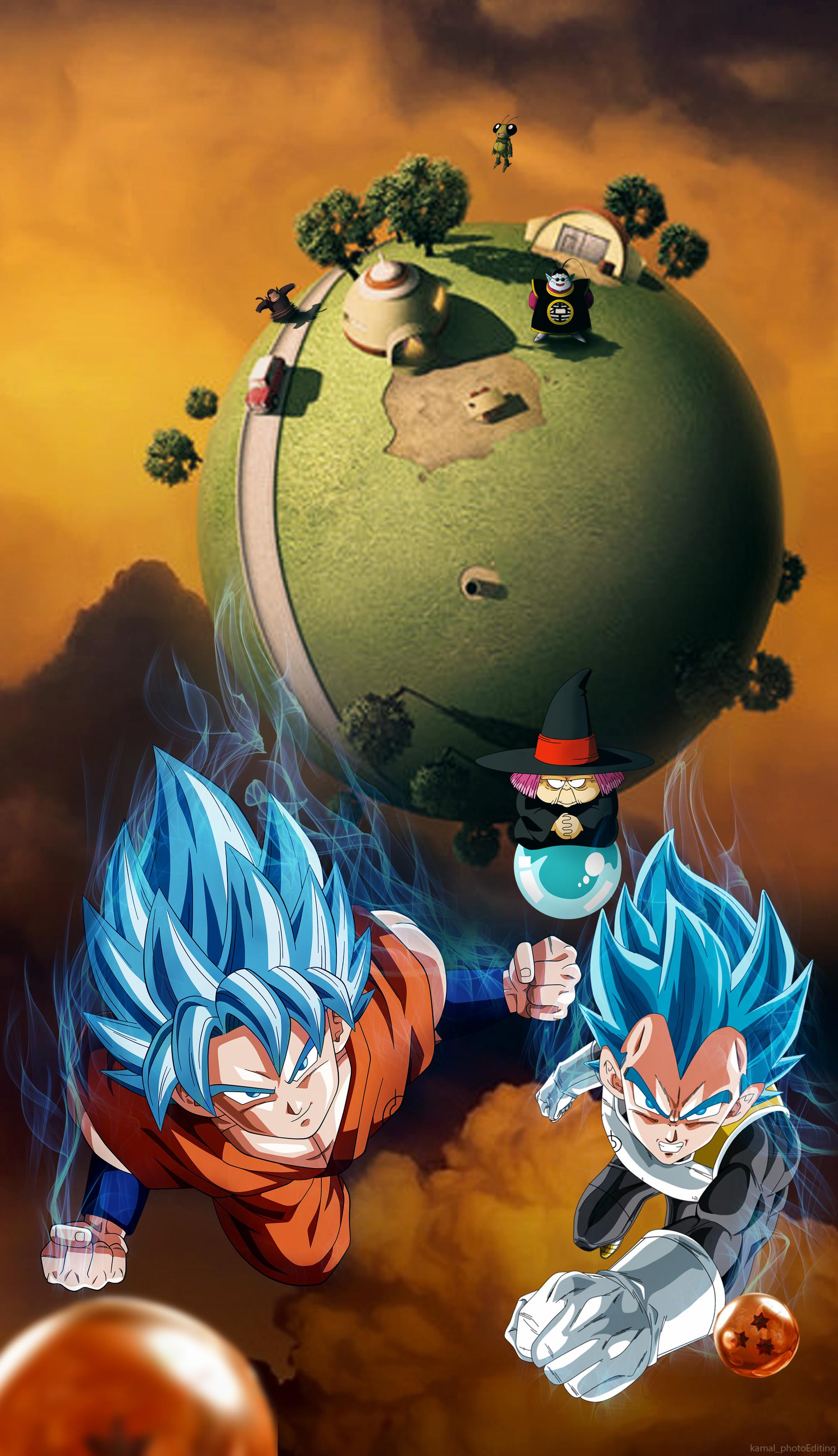 2000x3477 Dragon Ball 4k iPhone Wallpaper