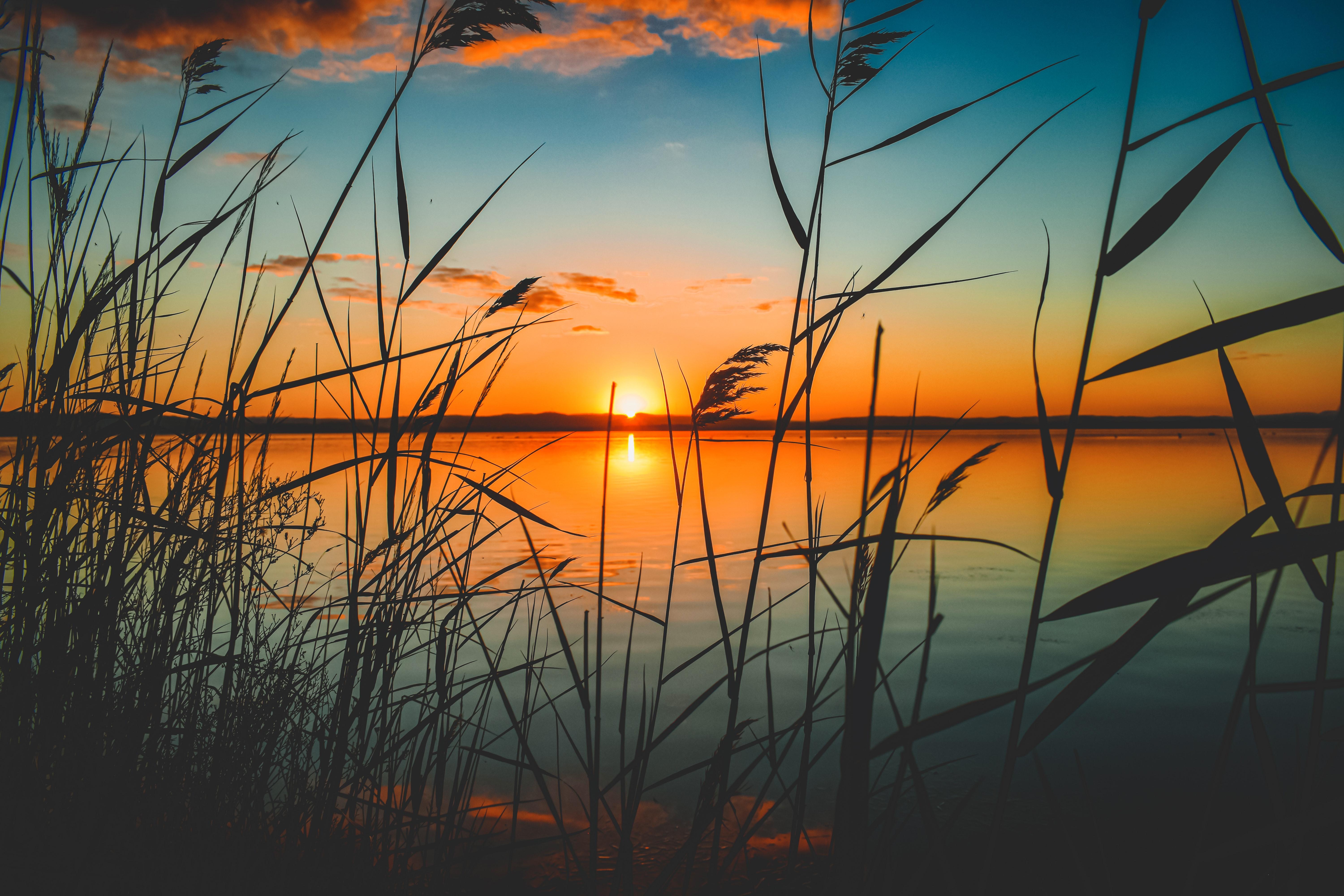6000x4000 Scenic View Of Lake During Sunset 5k Laptop HD HD 4k Wallpaper, Image, Background, Photo and Picture