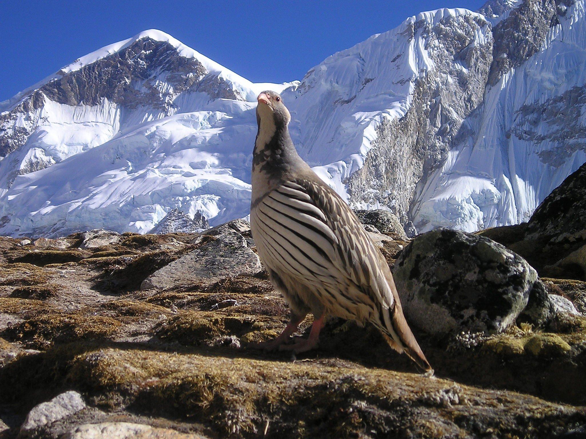 2048x1536 Nepal wallpaperx1536