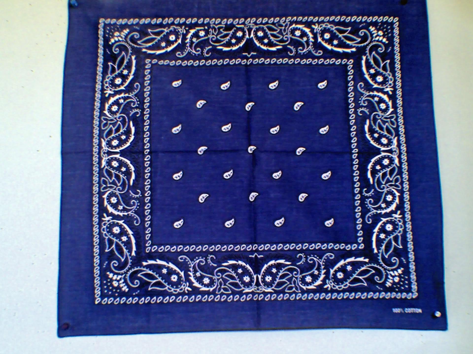 1920x1440 Blue Bandana