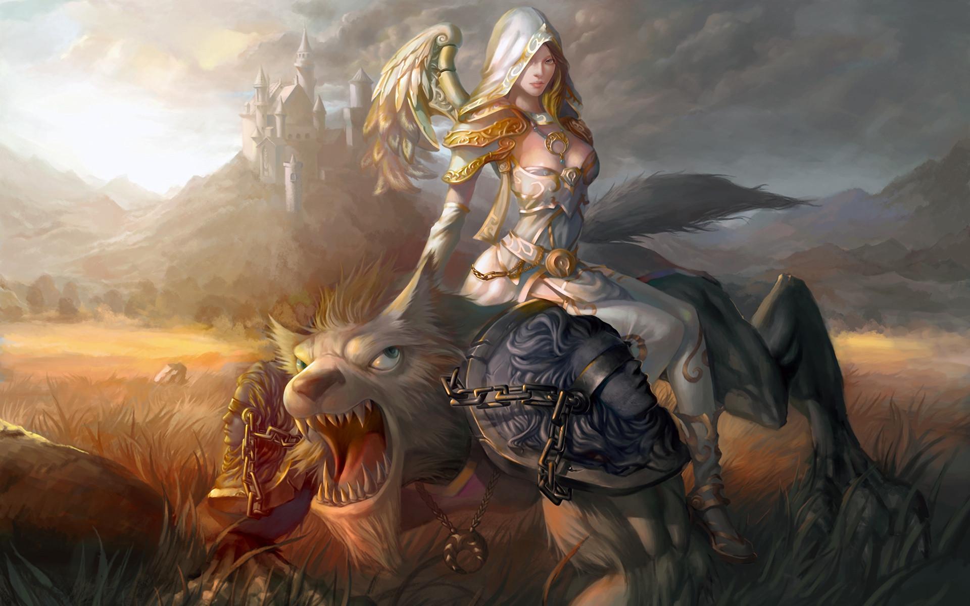 1920x1200 Wow Paladin Wallpaper