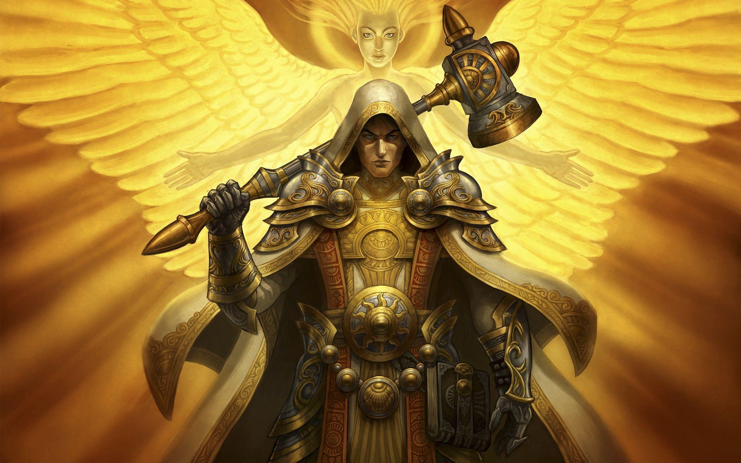 2560x1600 Paladin Wallpaper