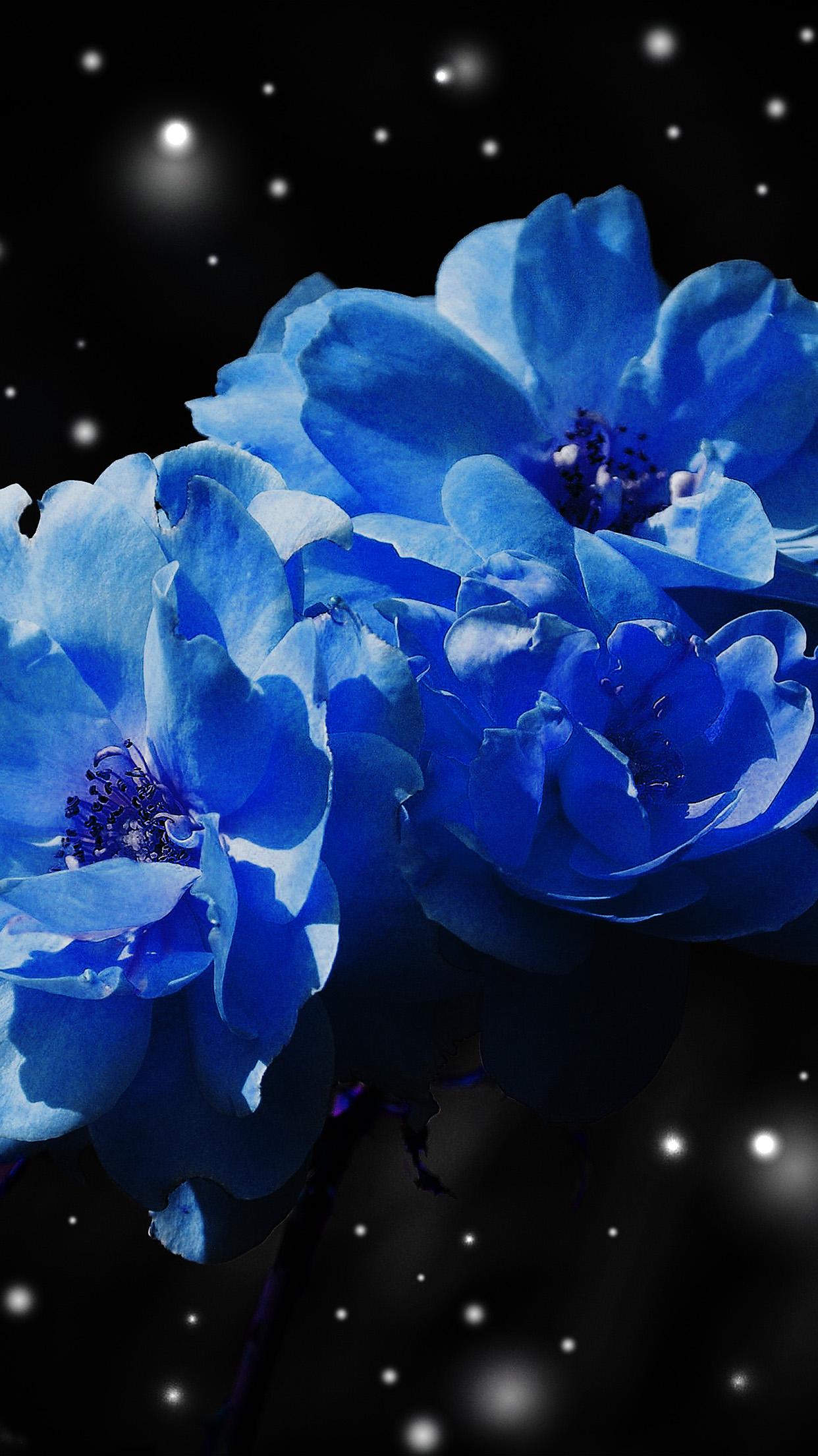 1242x2208 iPhone Blue Flower Wallpaper HD Download