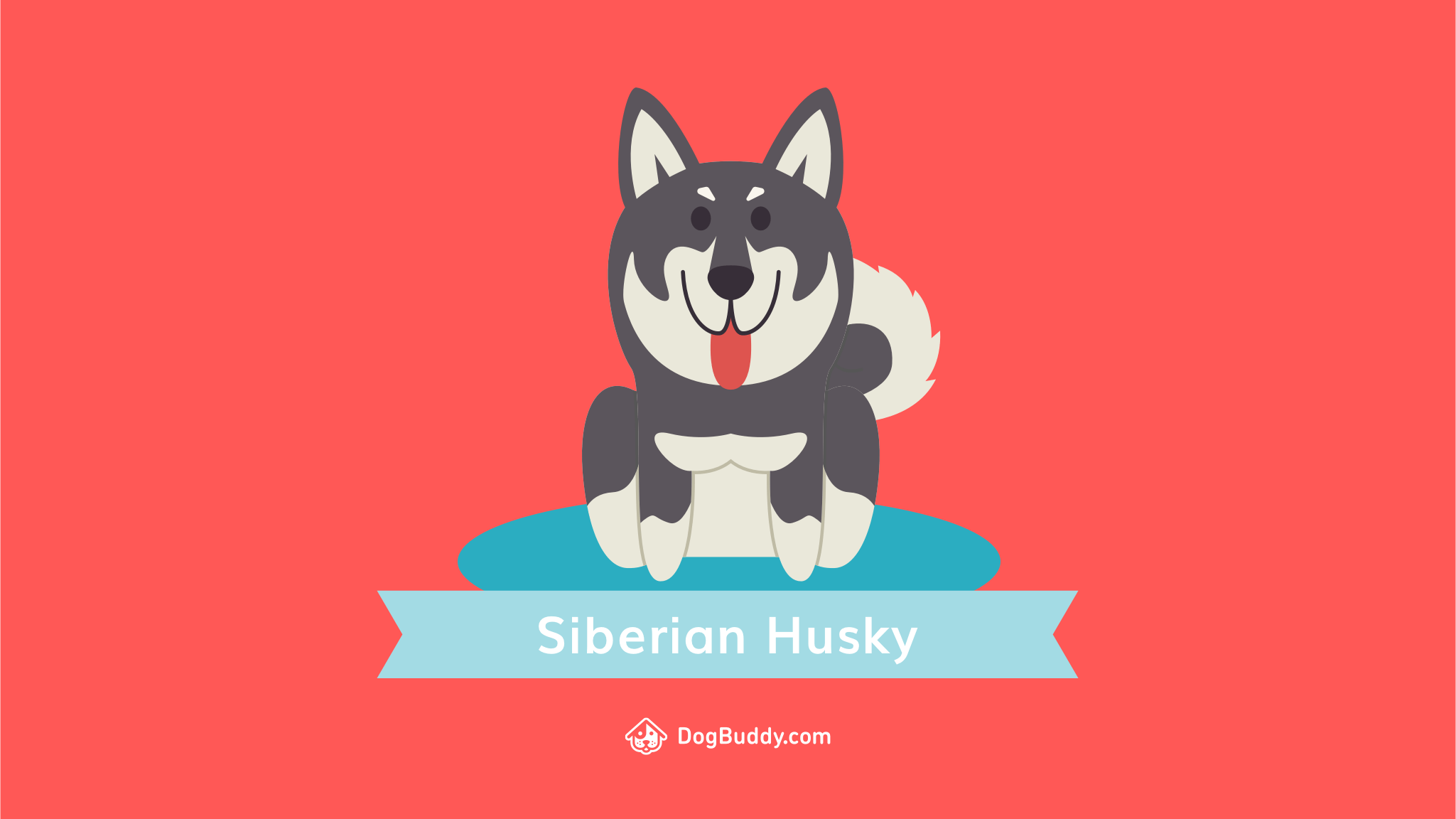 2049x1152 Cute Cartoon Siberian Husky