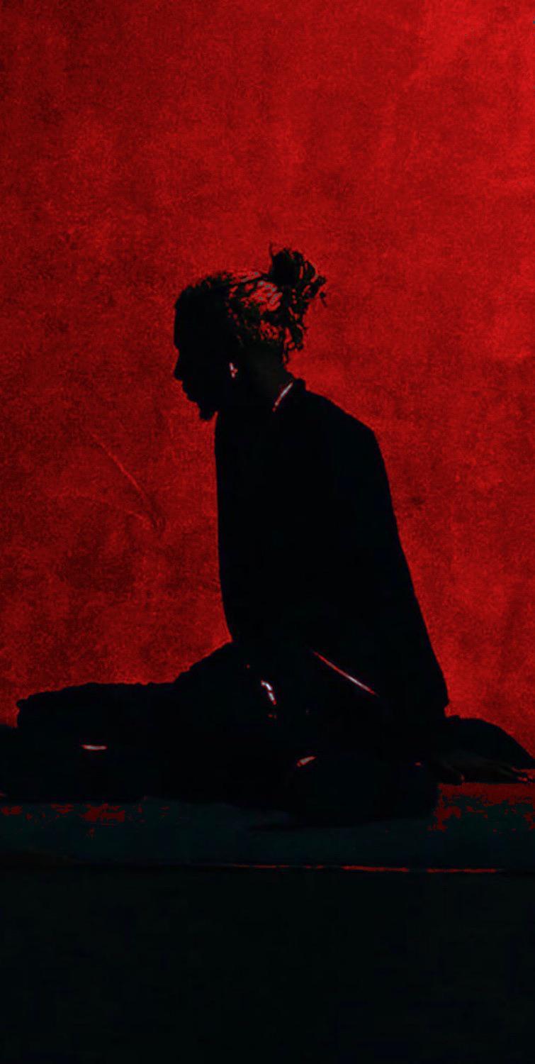 755x1500 new wallpaper: playboicarti