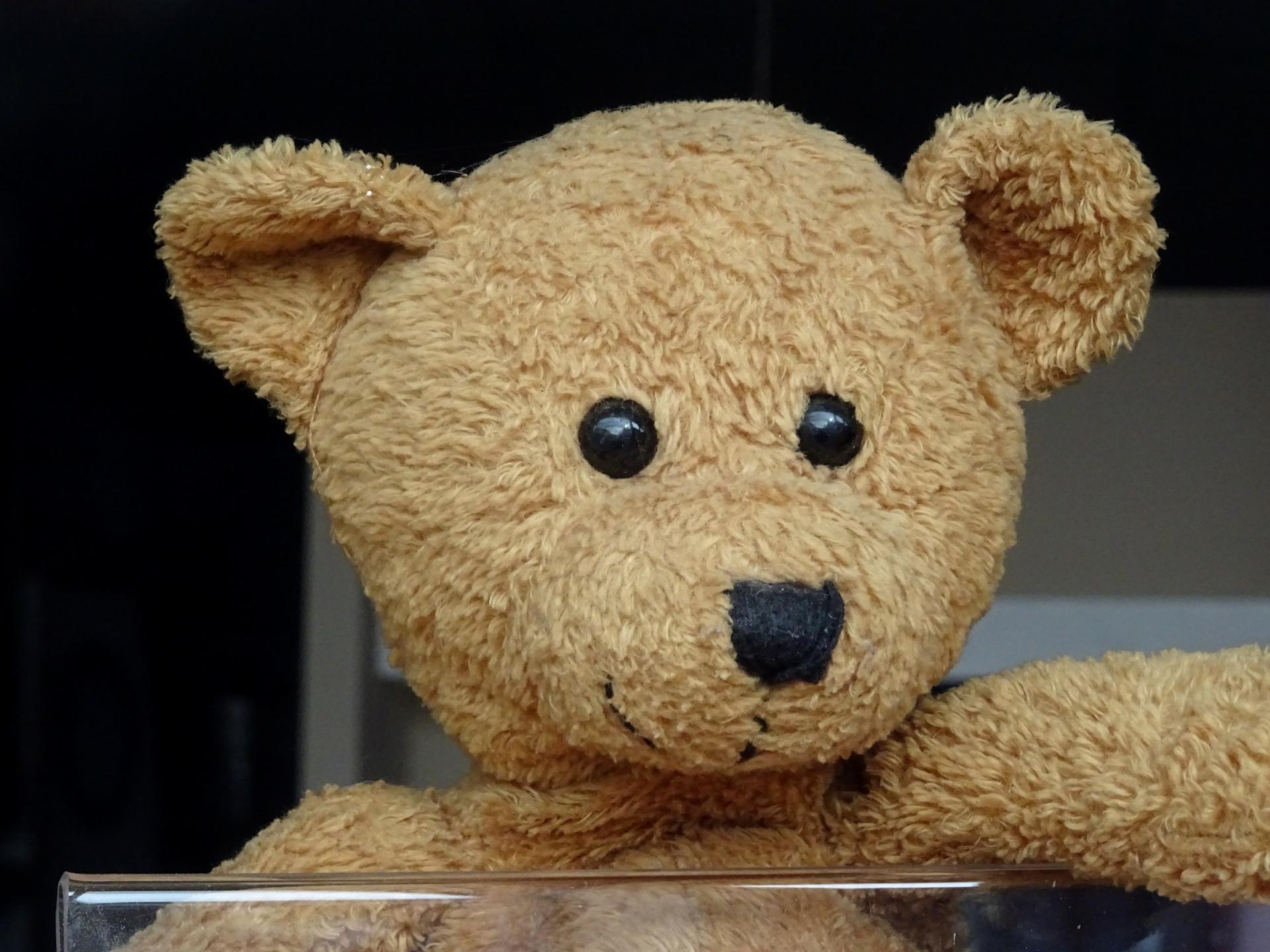 1920x1440 Cute Teddy Bears Face Free Domain Picture