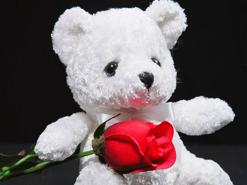 1024x768 Free download Teddy Bear Happy Valentine Wallpaper HD Best HD Wallpaper [1024x768] for your Desktop, Mobile & Tablet. Explore Love Teddy Bear Wallpaper. Most Beautiful Teddy Bear Wallpaper, HD