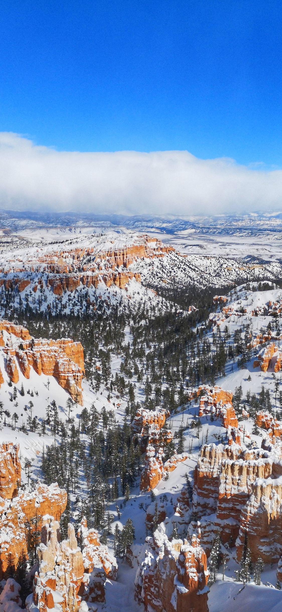 1125x2436 Snow At Bryce Canyon National Park 5k iPhone XS, iPhone iPhone X HD 4k Wallpaper, Image, Background, Photo and Picture