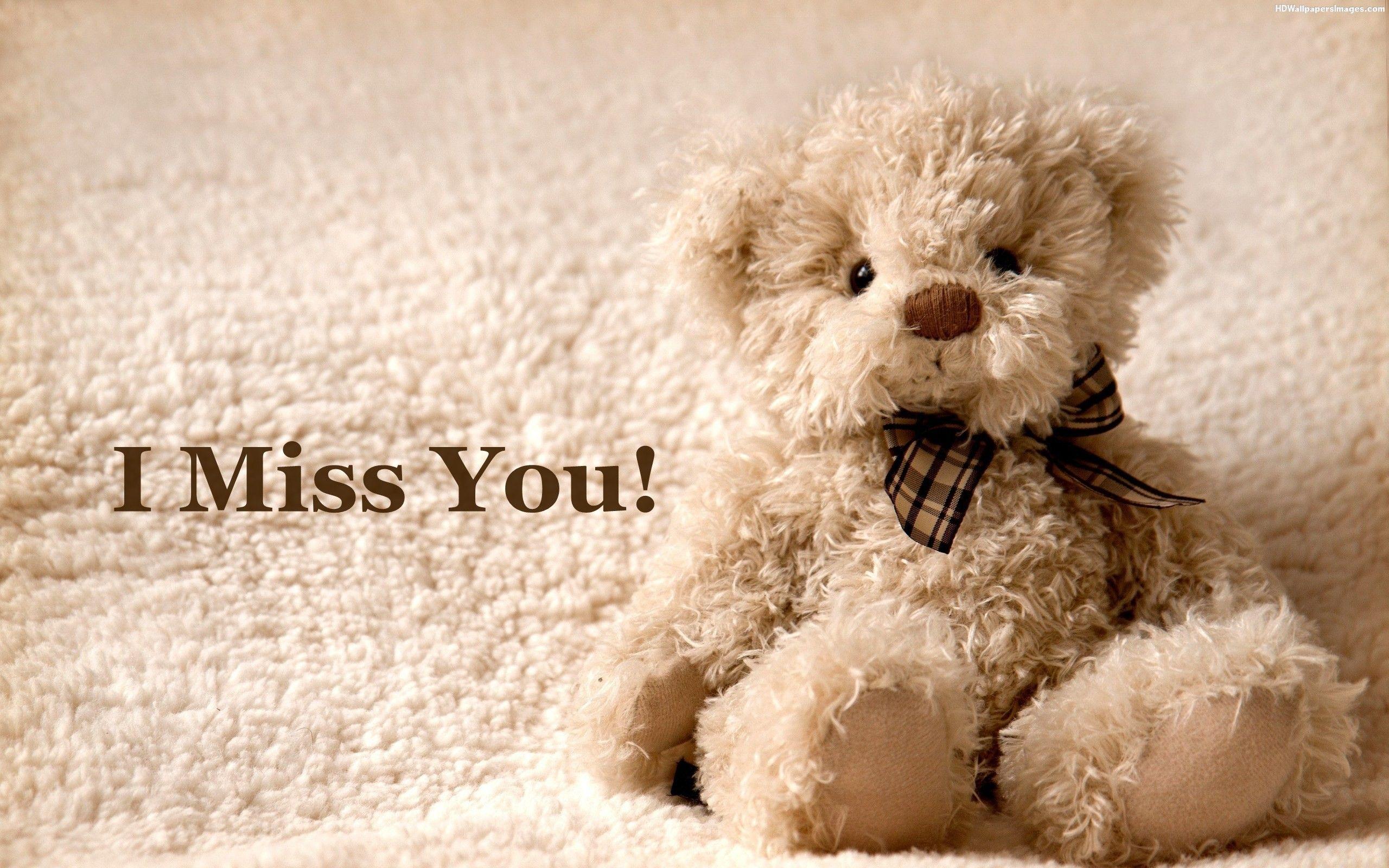 2560x1600 Wallpaper Teddy Bear Crying