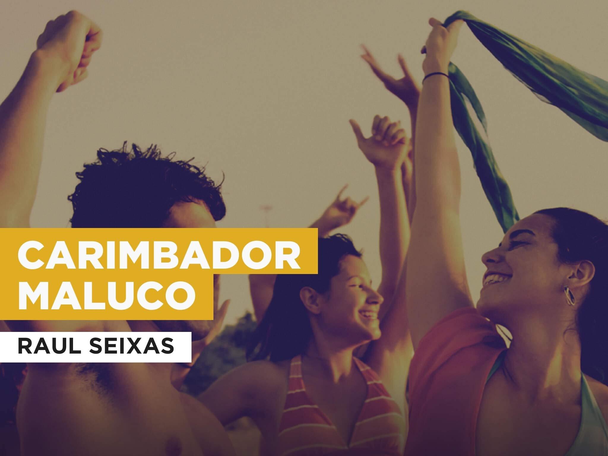 2048x1536 Watch Carimbador maluco in the Style of Raul Seixas